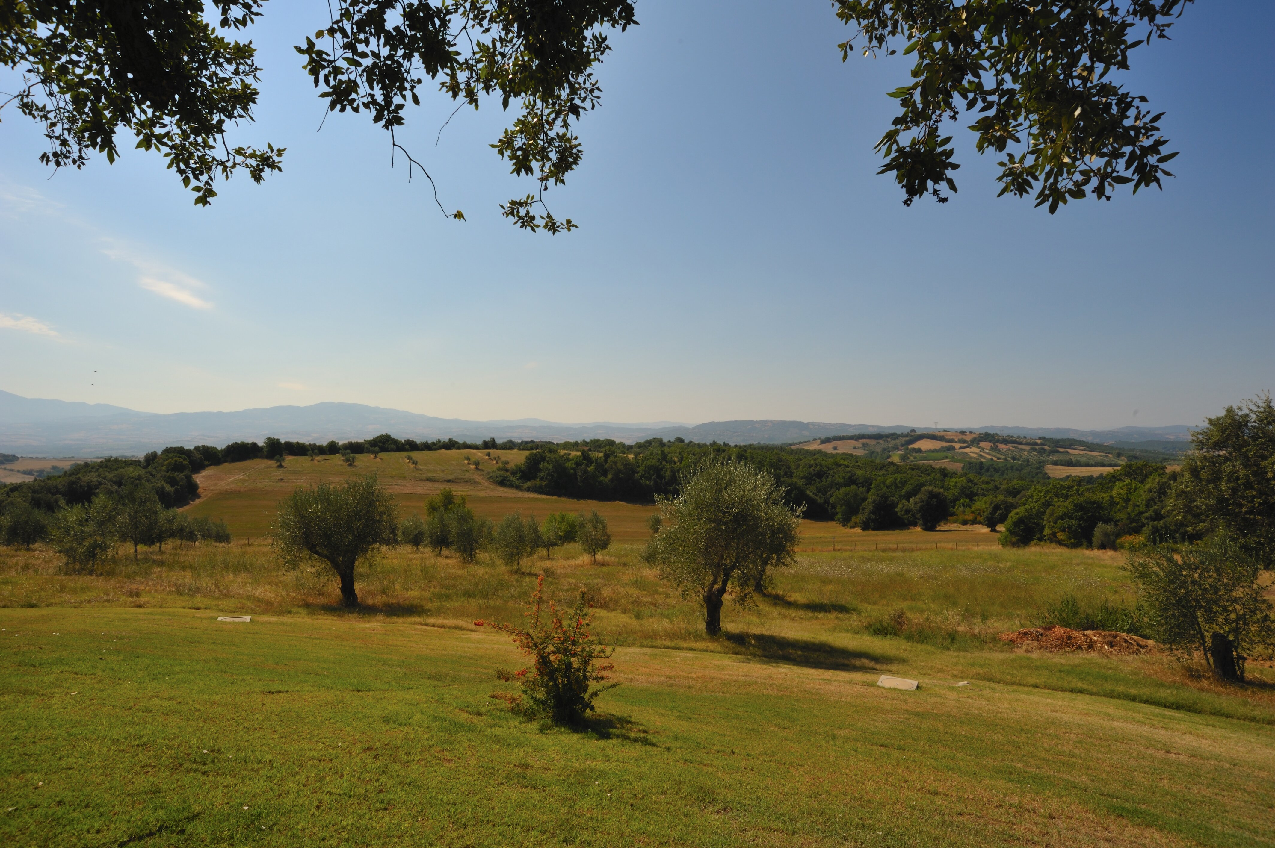 Poggio Al Leccio - Image 10