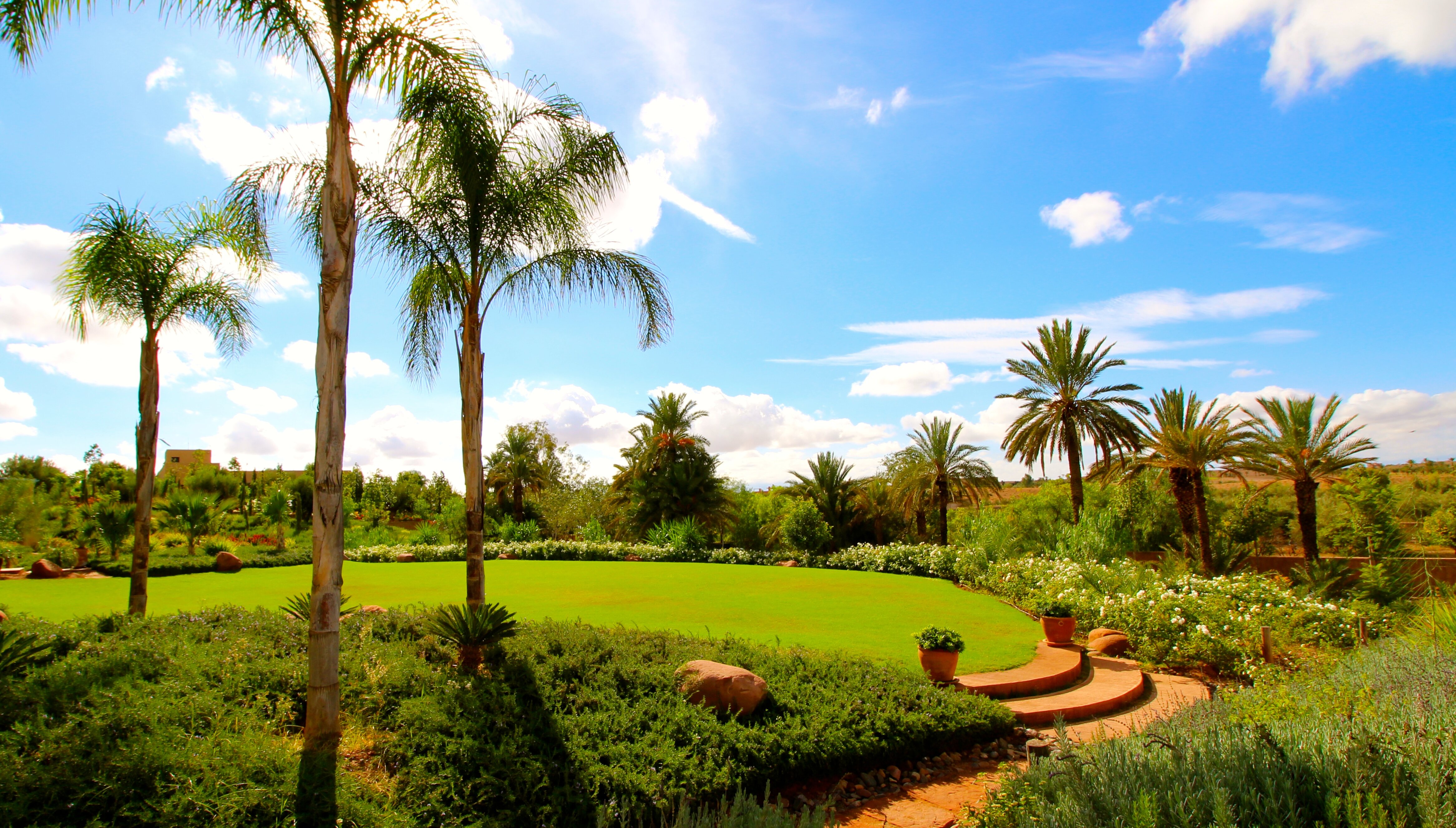 Cobalt Blue, near Marrakech - Image 7