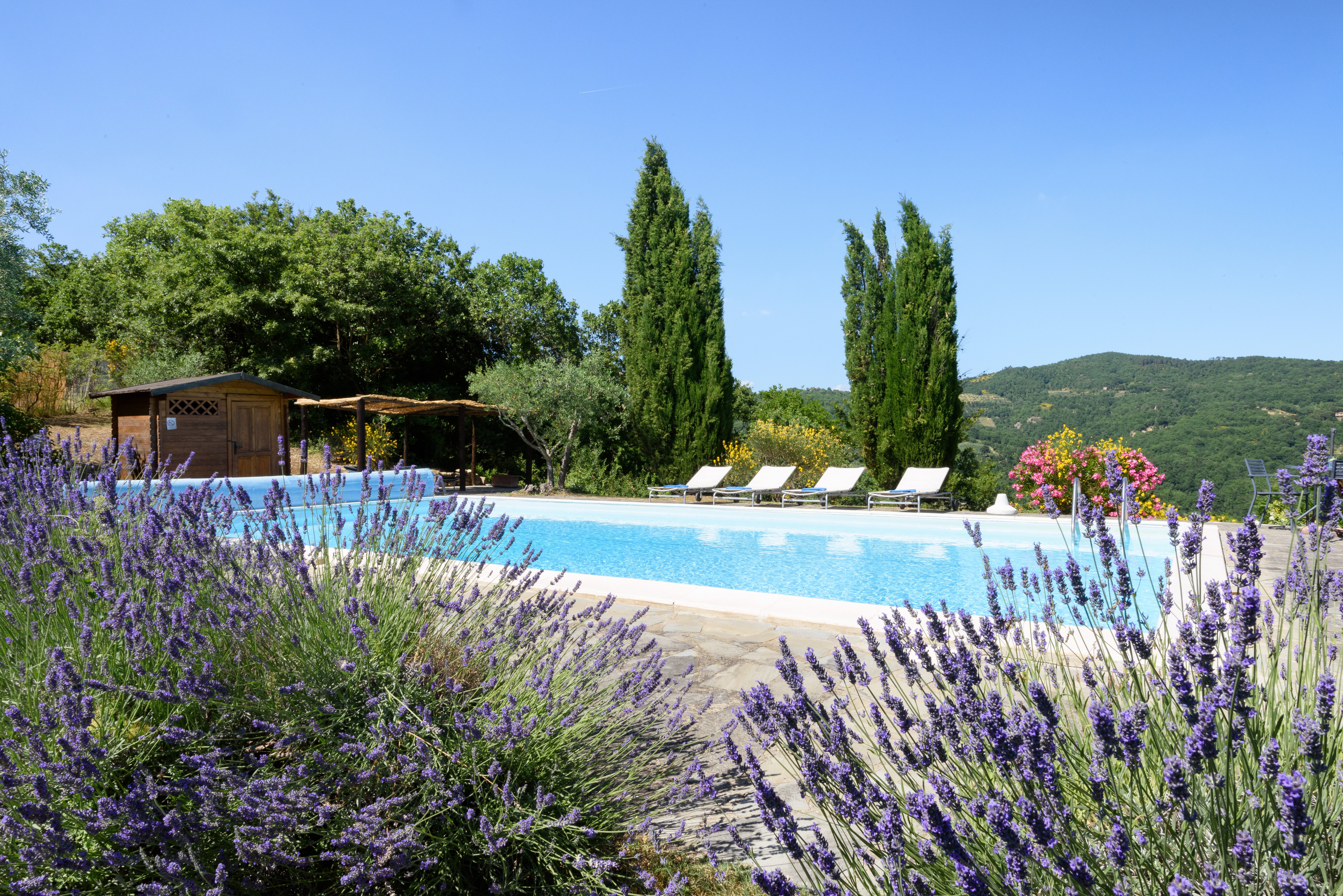 Casa del Cavaliere - Image 4