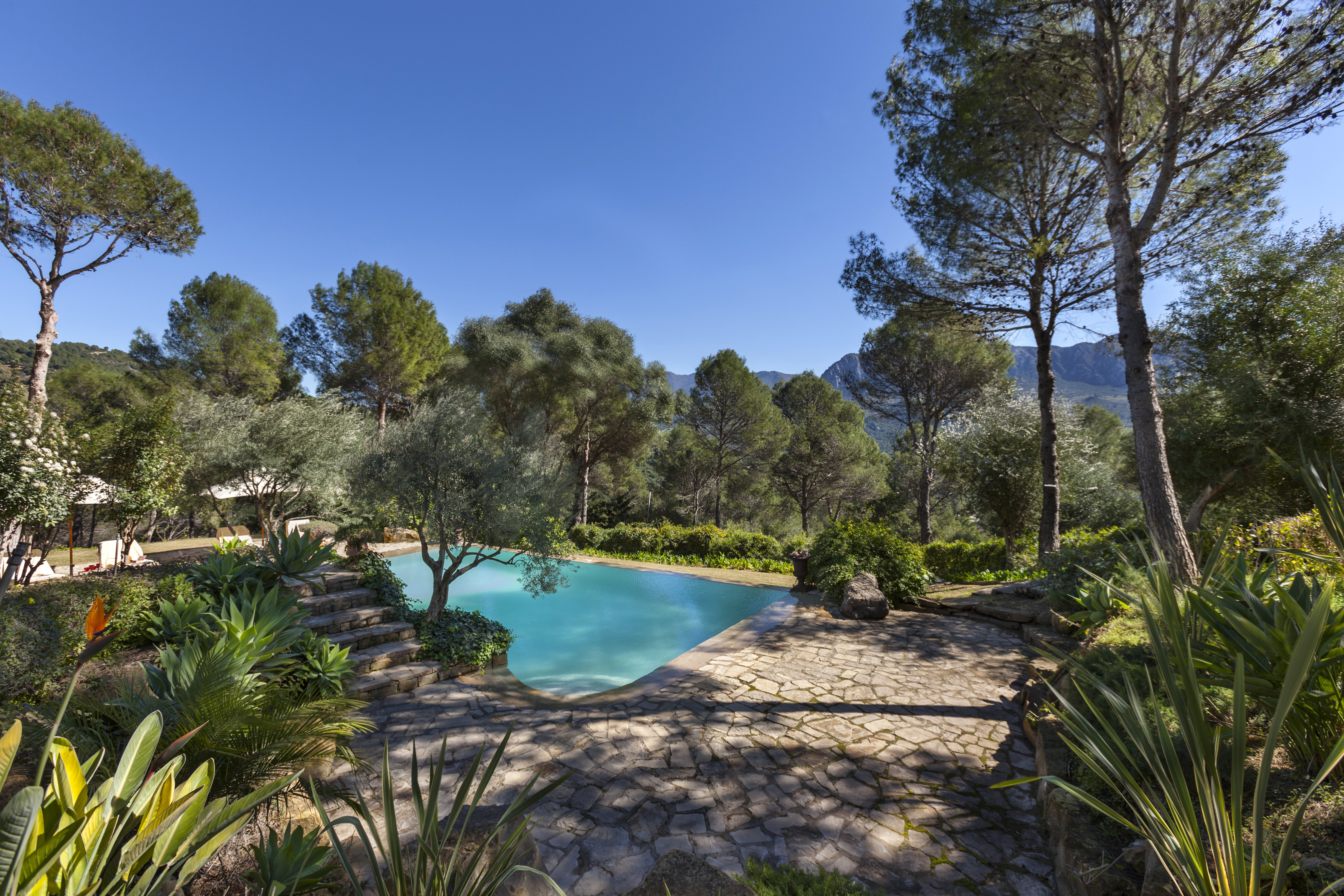 La Casa Roja - Image 16