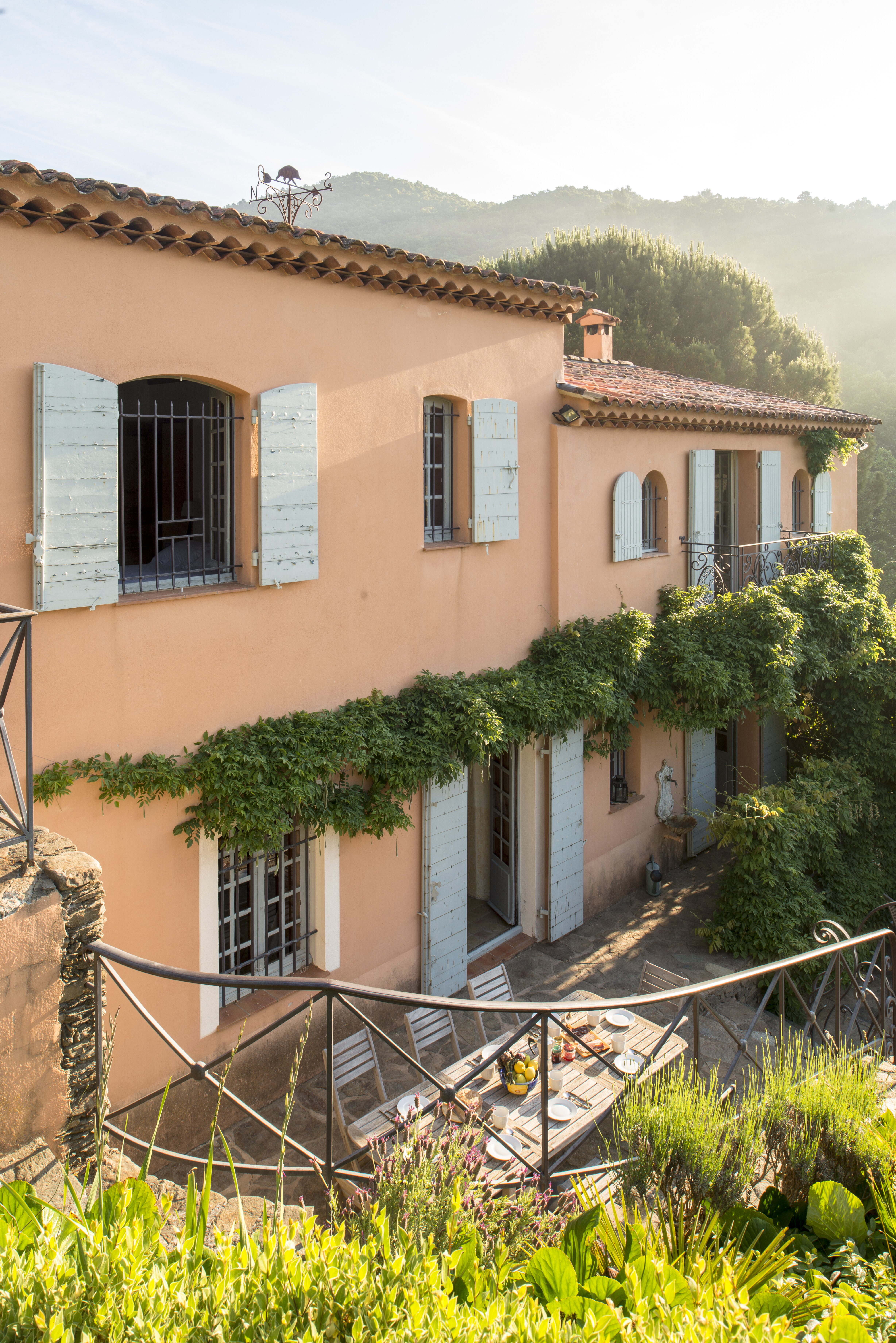 Bergeronnette - Image 5