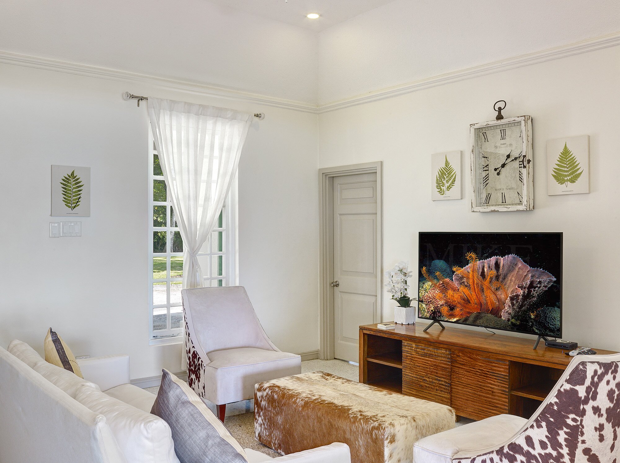 High Trees - Image 13