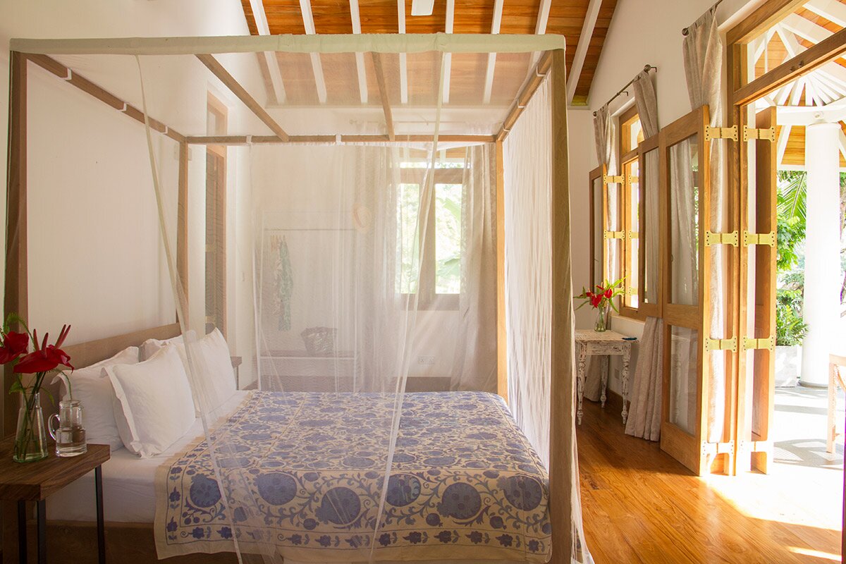 Water Lily - Image 12