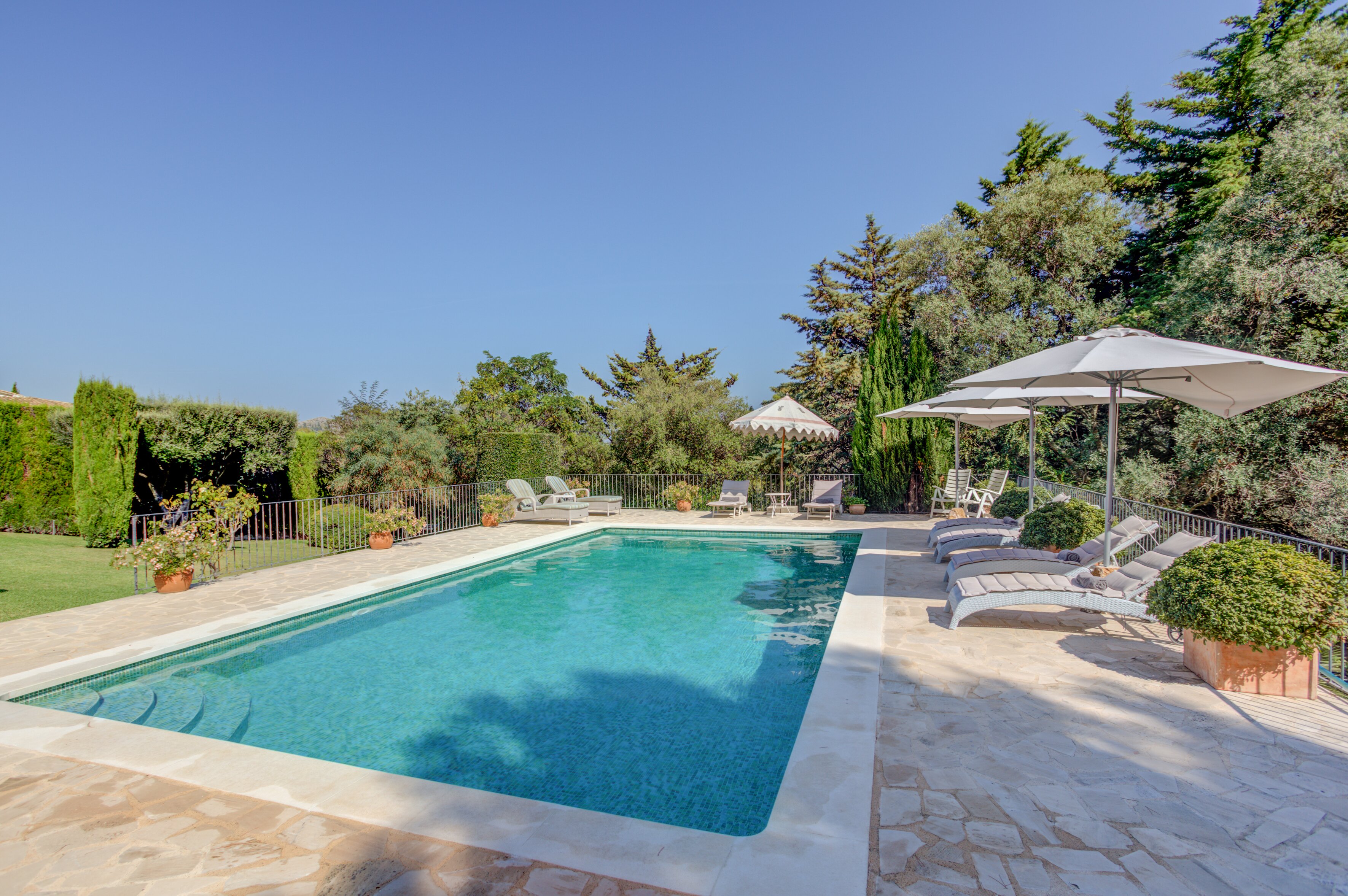 Las Peonias - Image 8