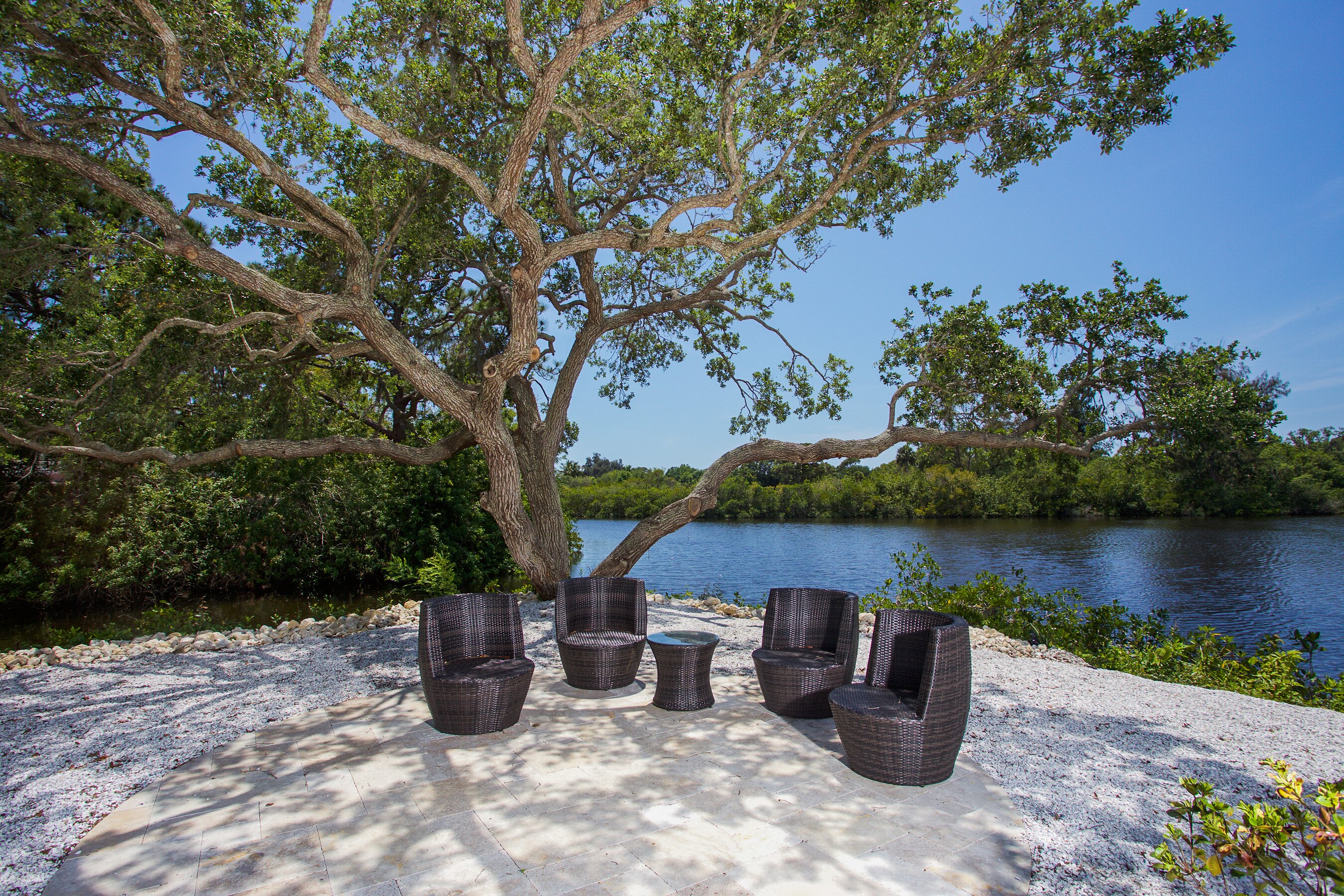 Honeyvine - Image 16