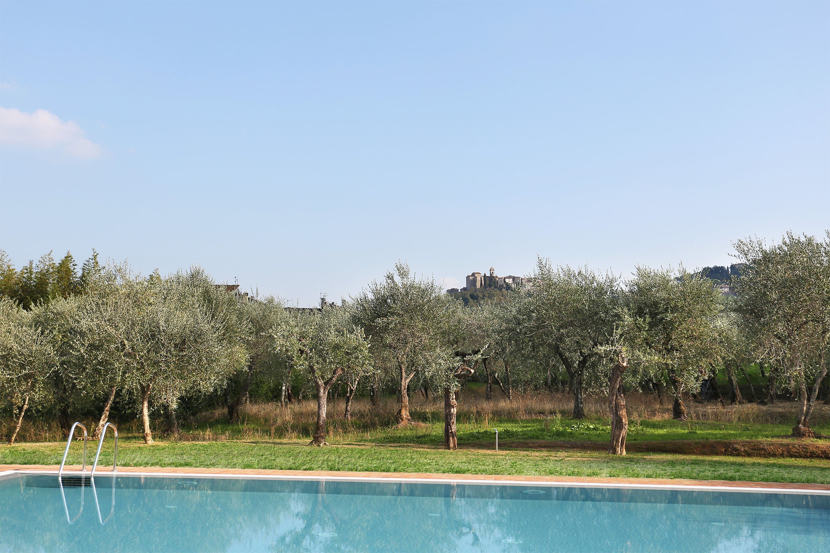 Il Graspo - Image 18