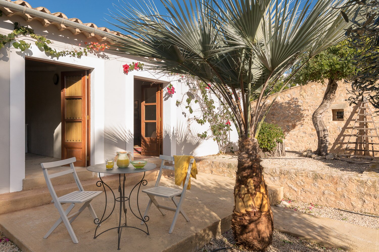 Los Pinos - Image 10