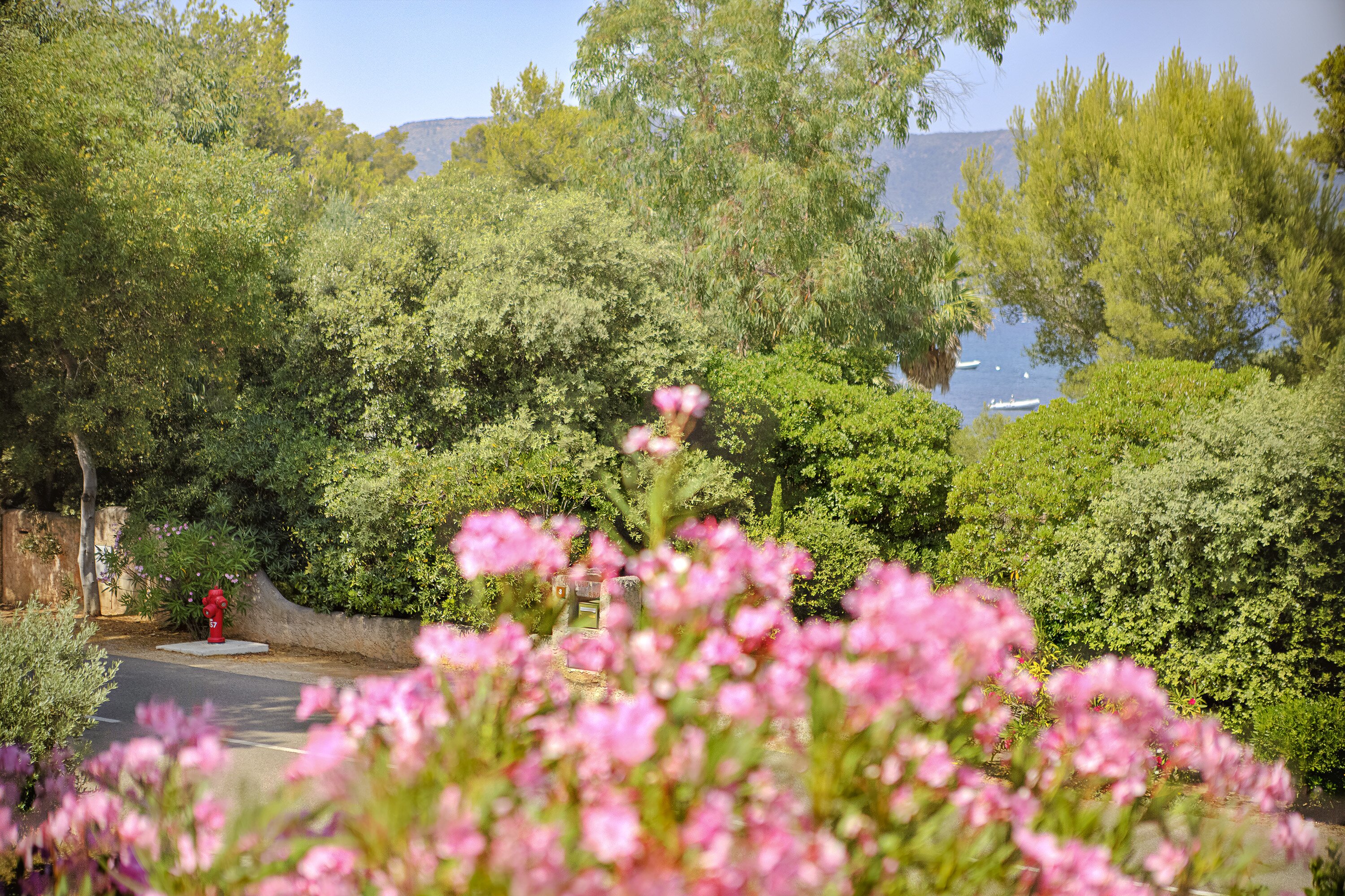 Villa Lara - Image 15