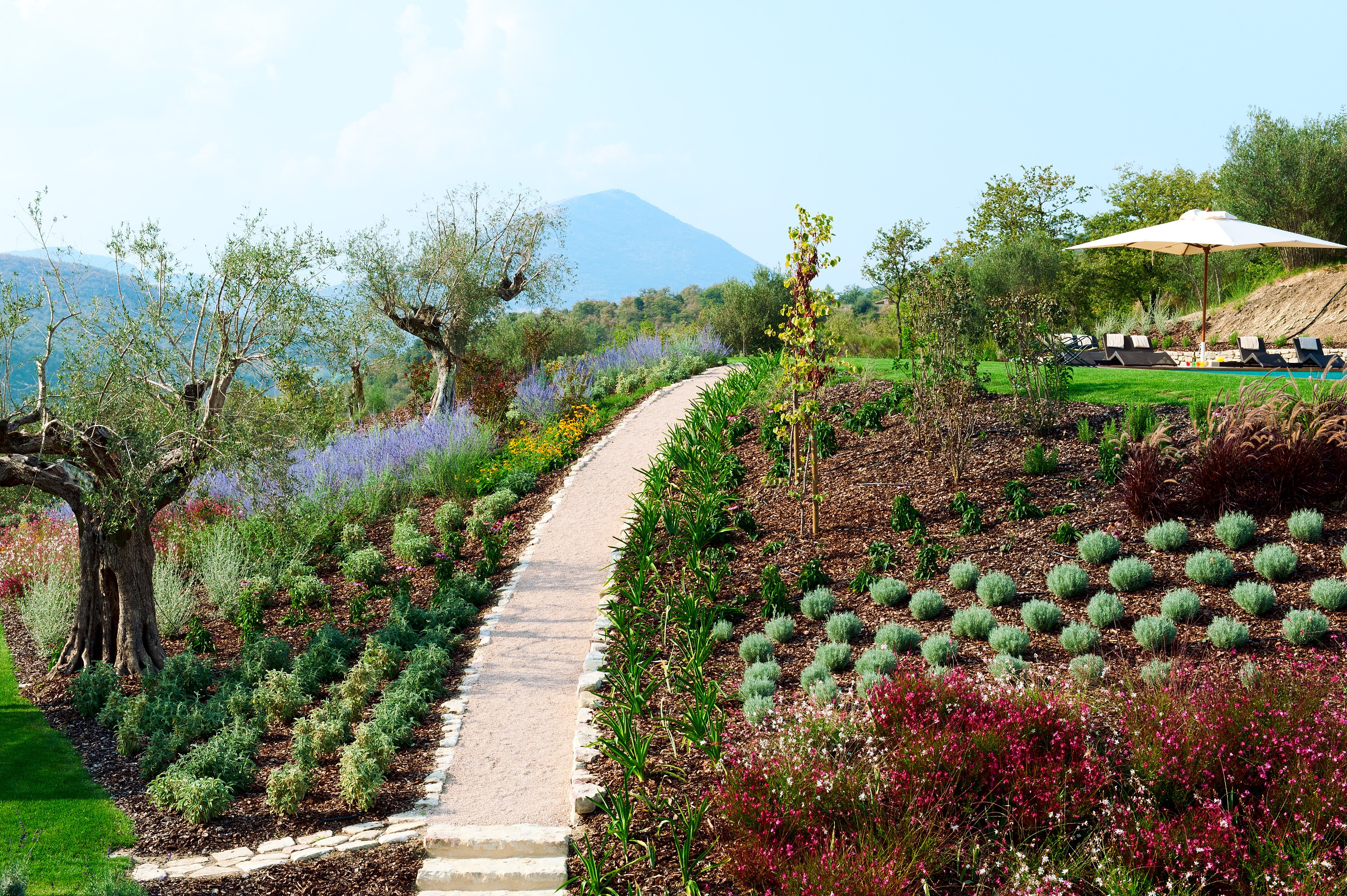 Villa Fiorita - Image 7