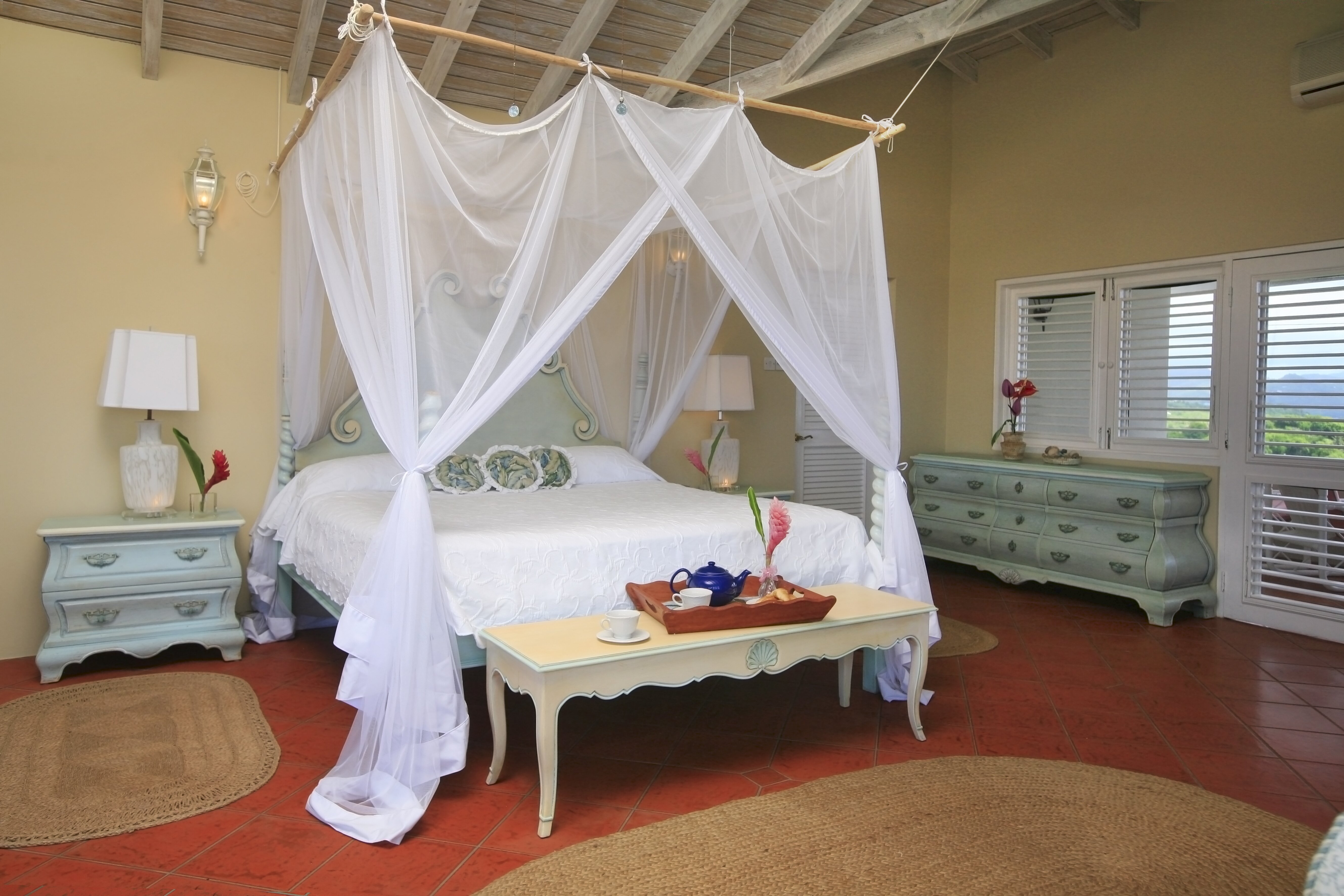 Wild Orchid - Image 9