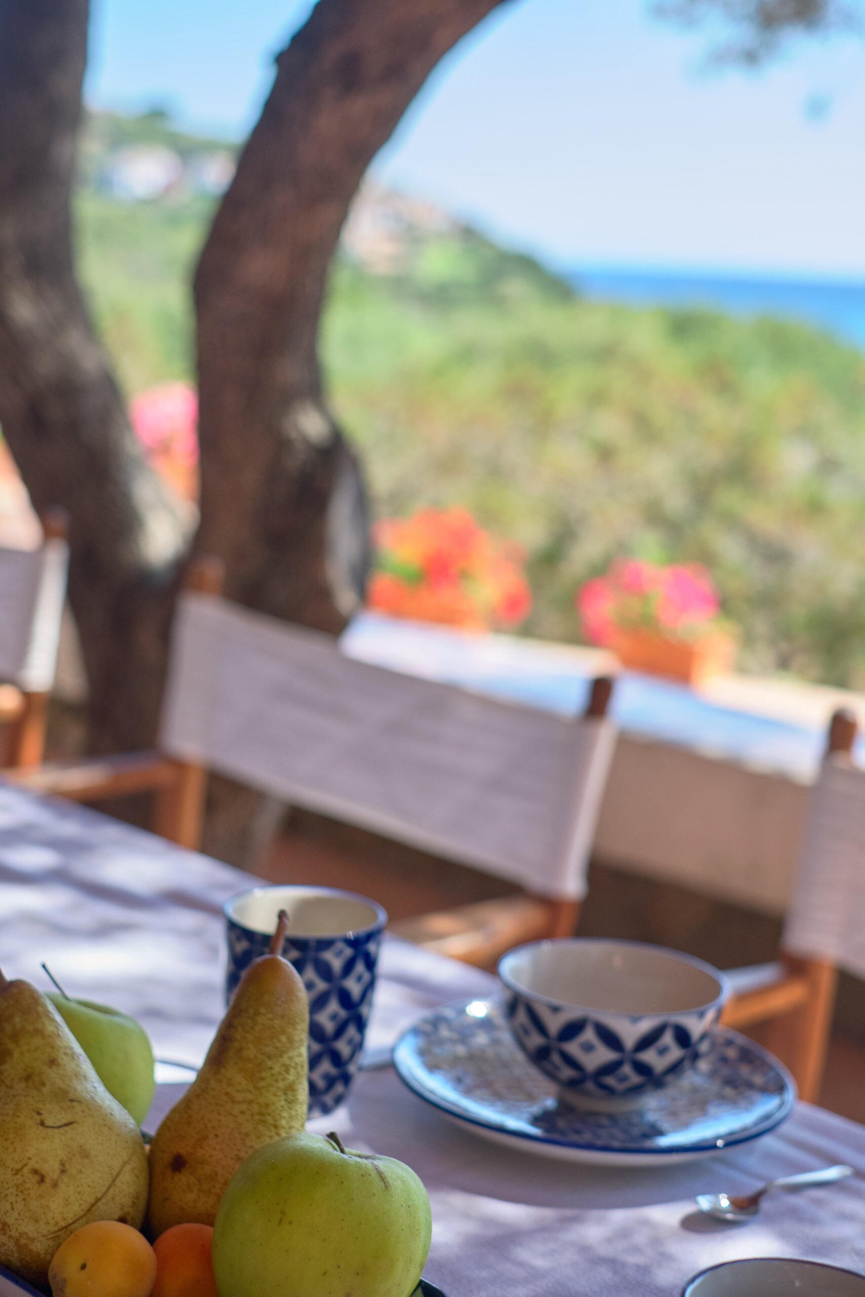 Stazzu Cannareddu - Image 16