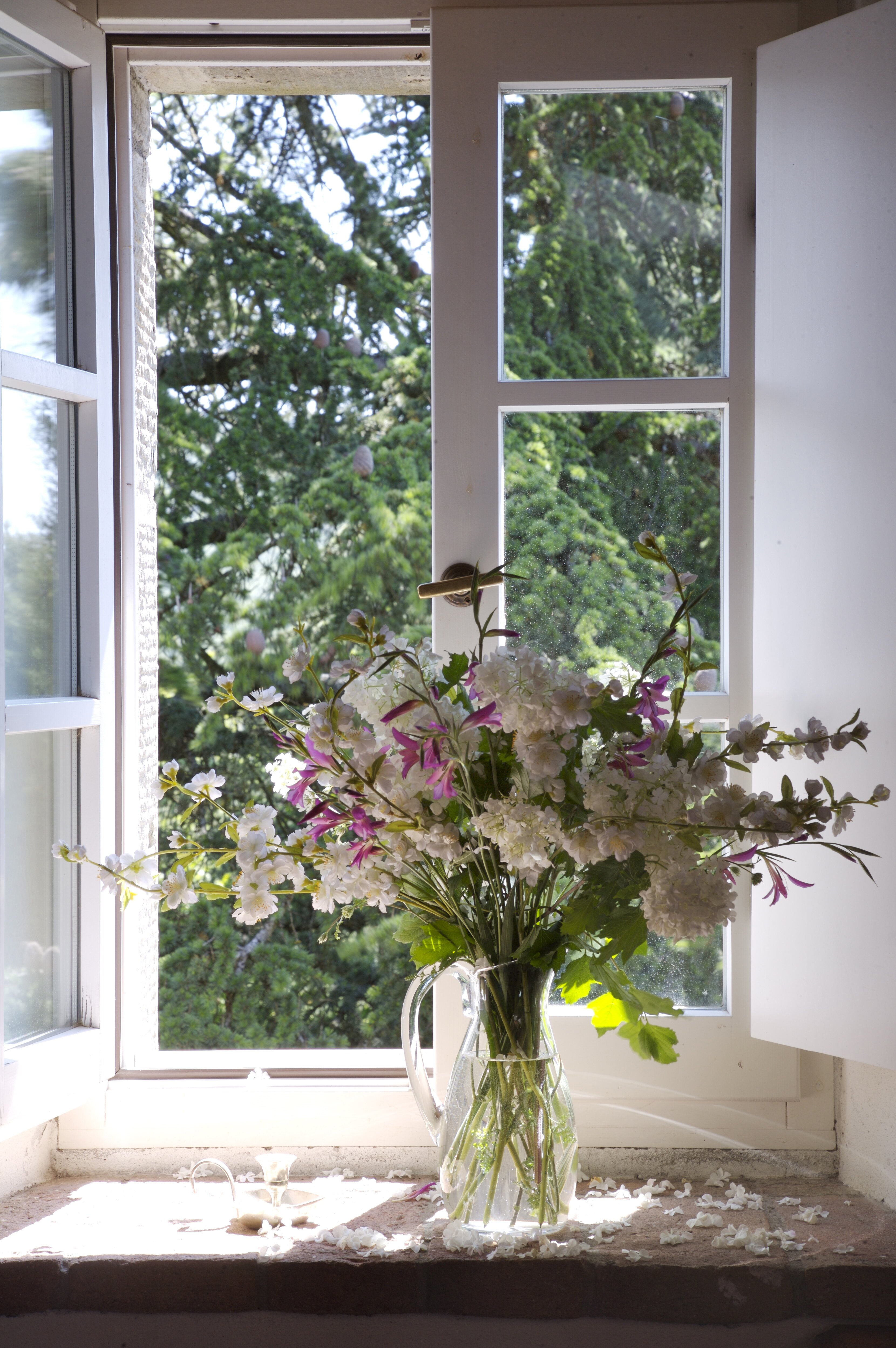 Poggio dei Castagni - Image 18