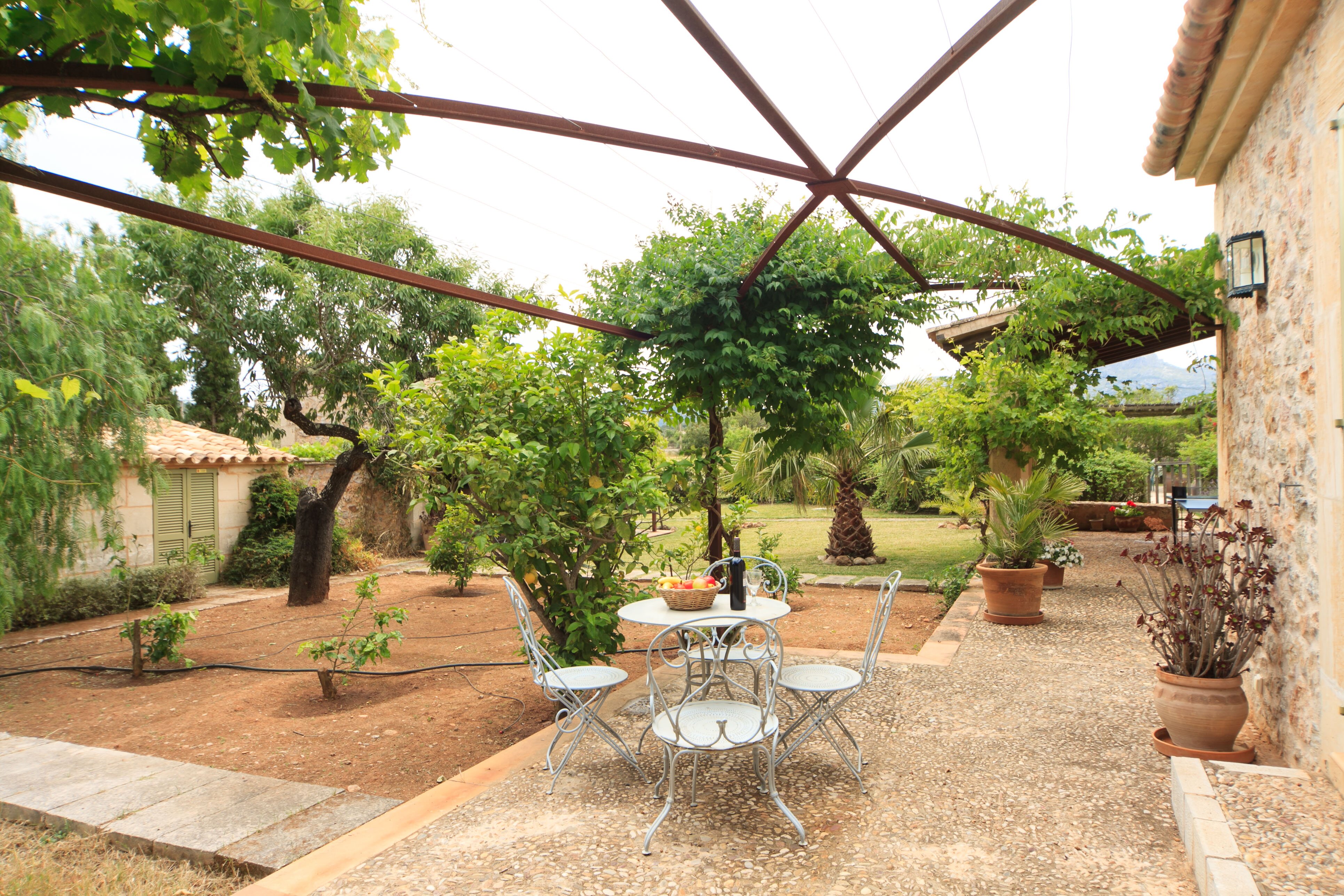 La Felucca - Image 9