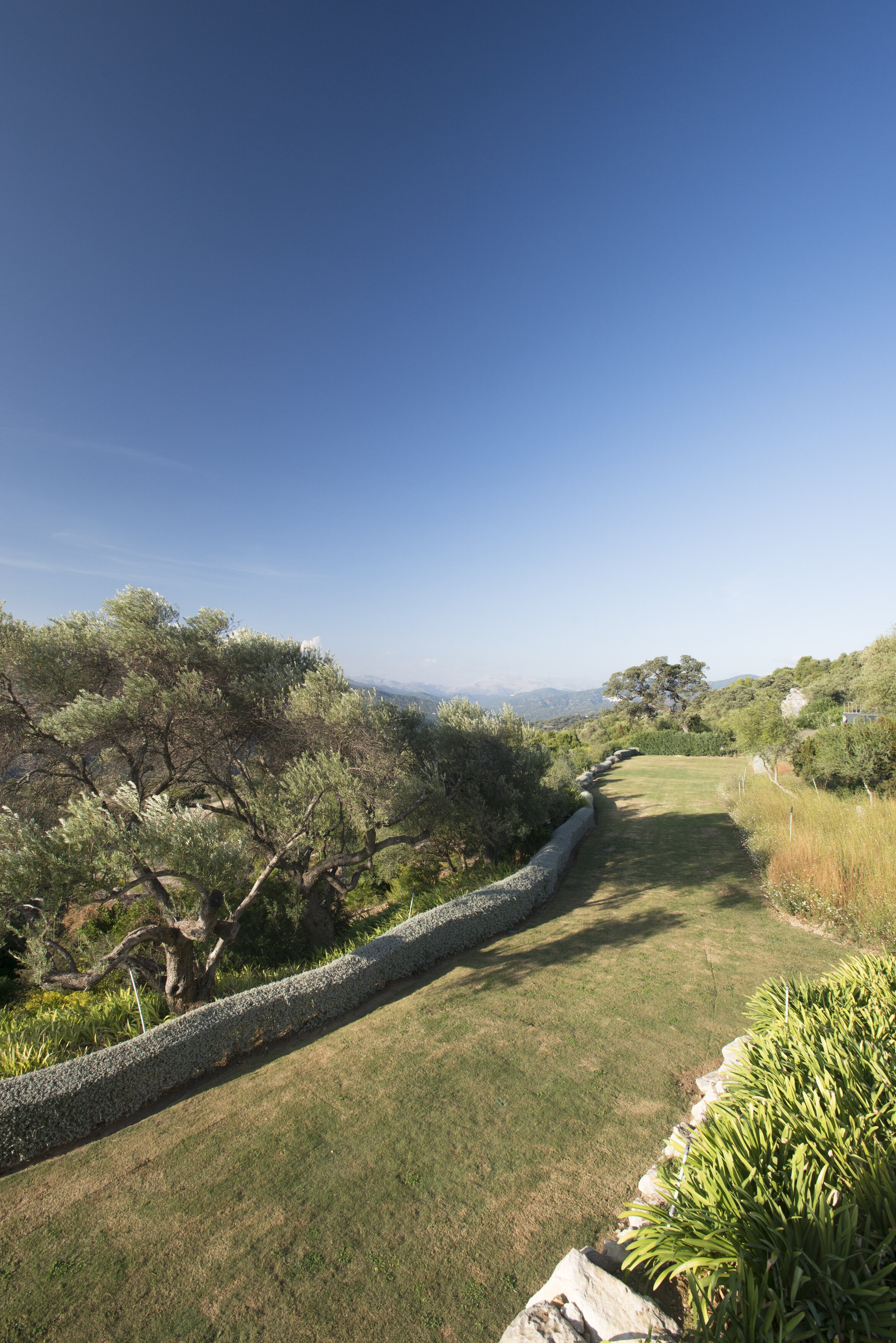 Finca Jabali - Image 3