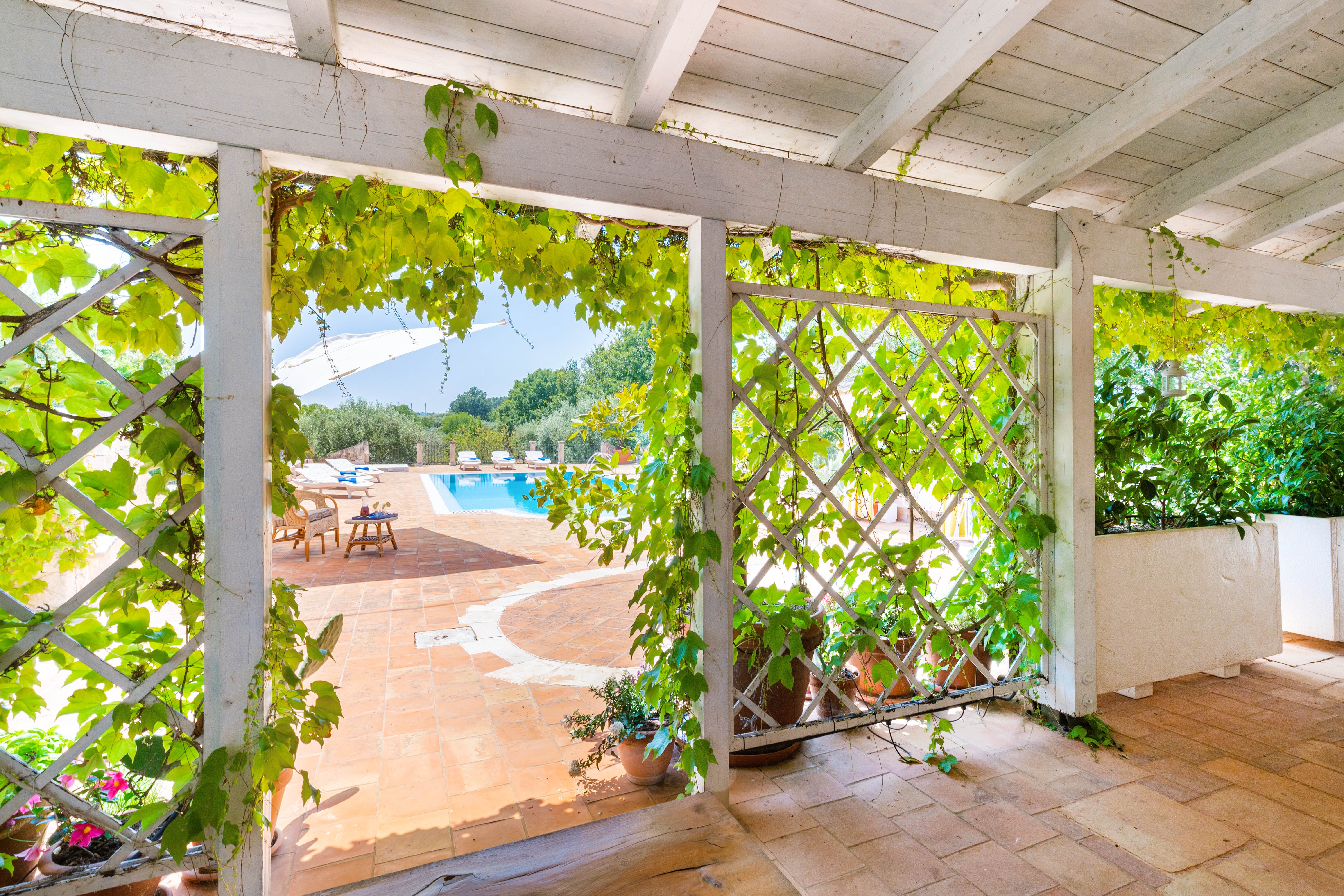 Trulli Volpe - Image 6