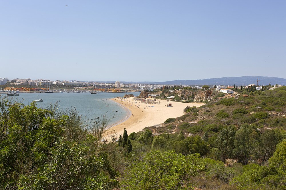 Casa da Colmeia - Image 14