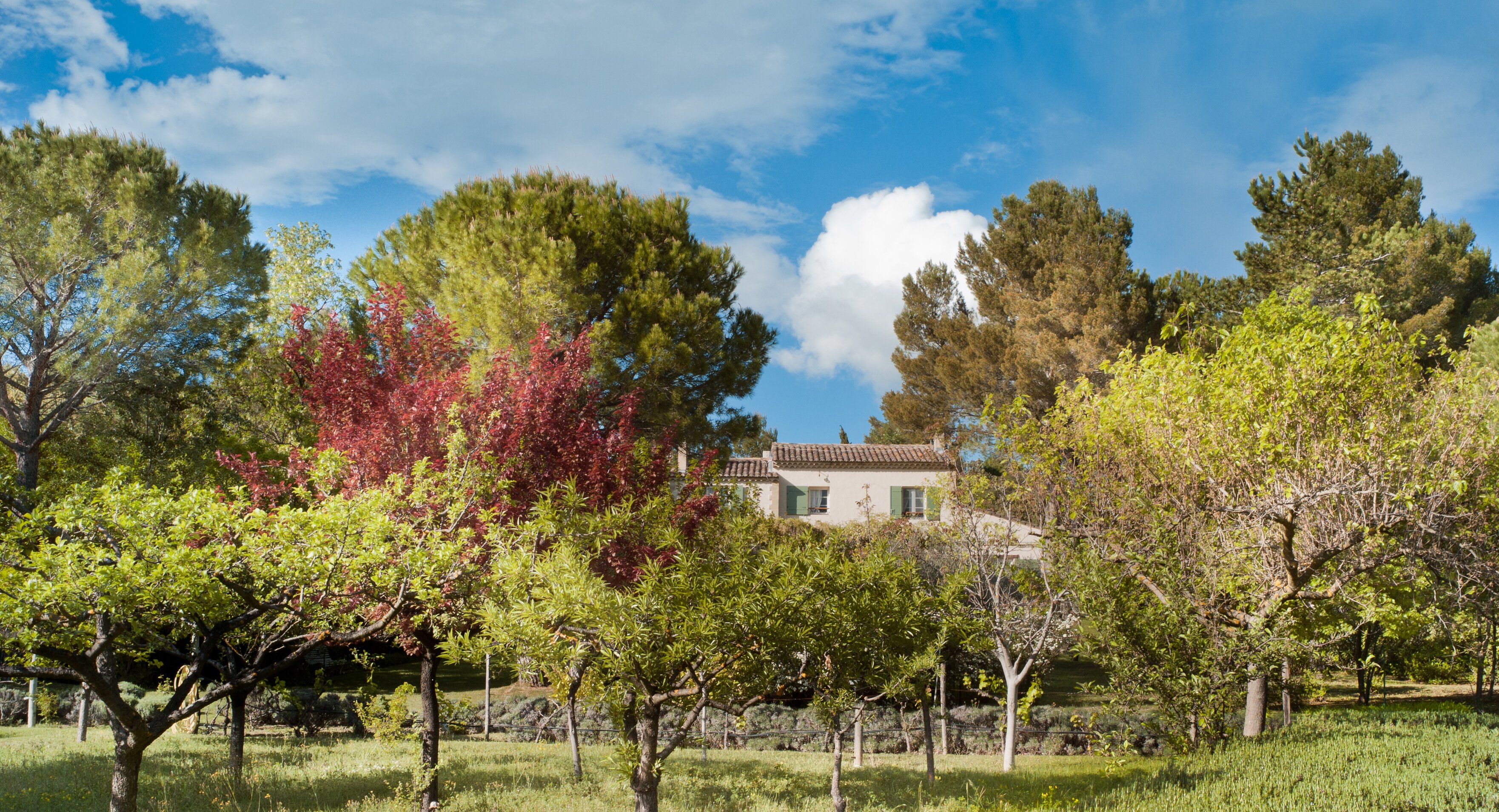 Maison L' Hirondelle - Image 18