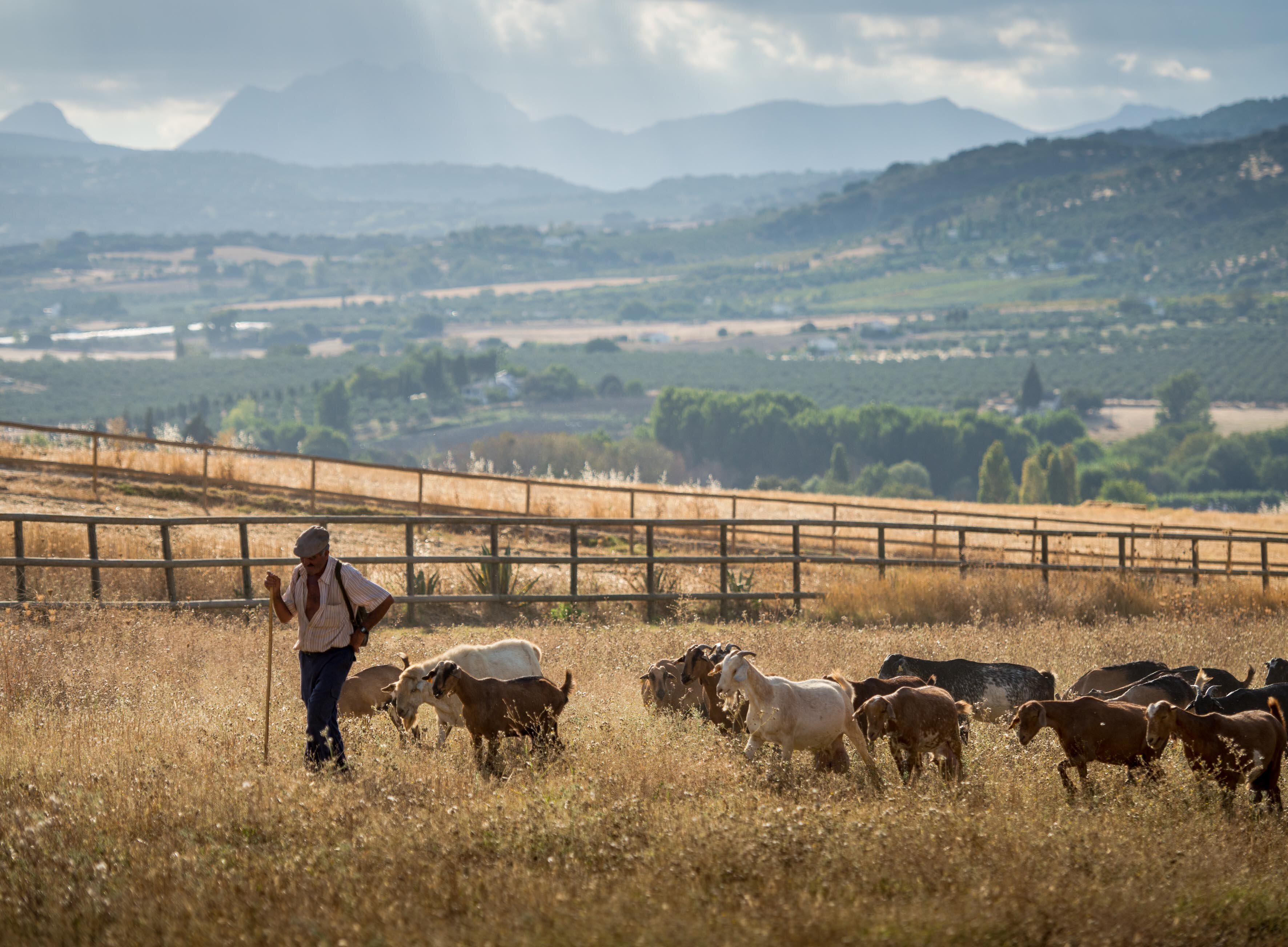 La Masia Antigua - Image 12