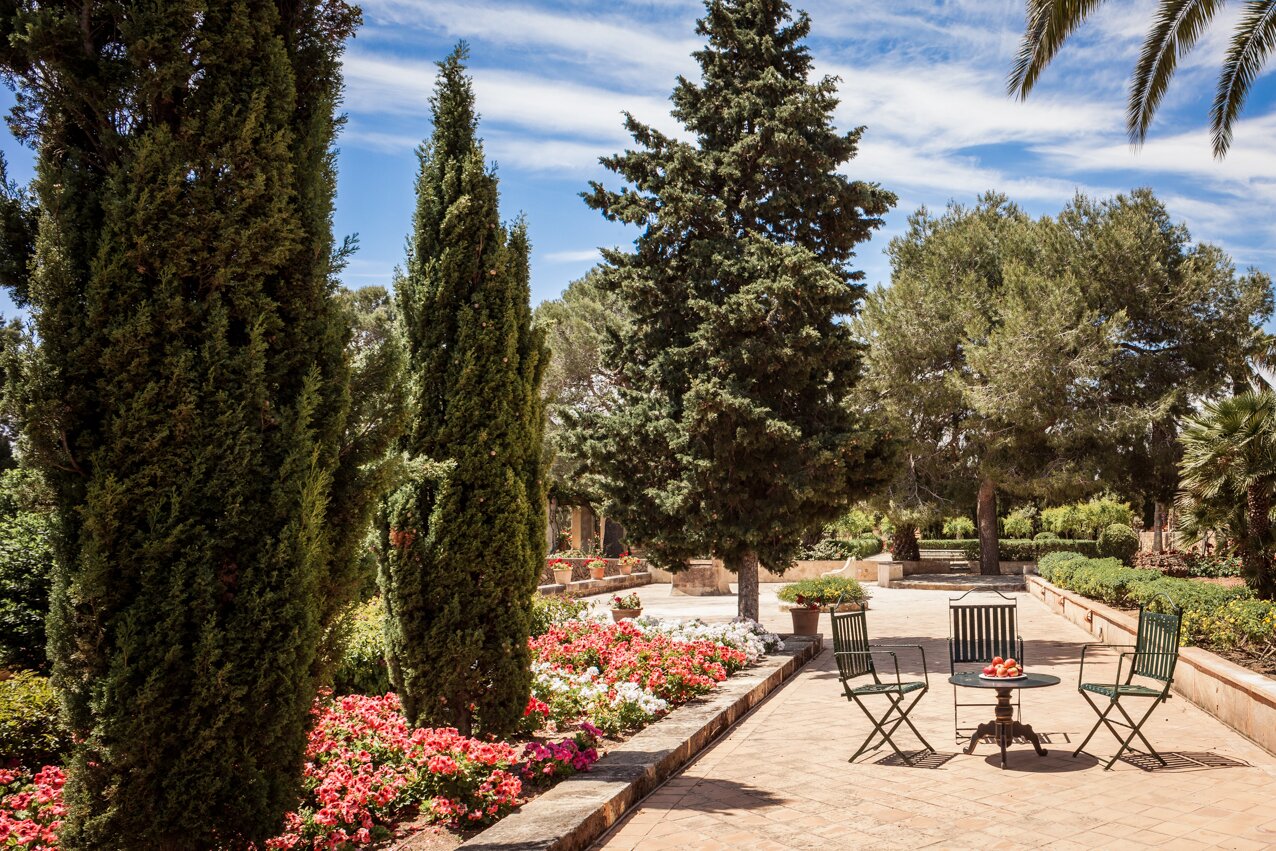 El Figueral - Image 16