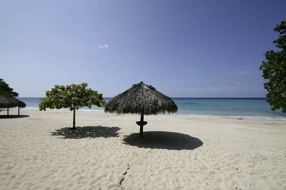 Frankfort on the Beach - Image 6