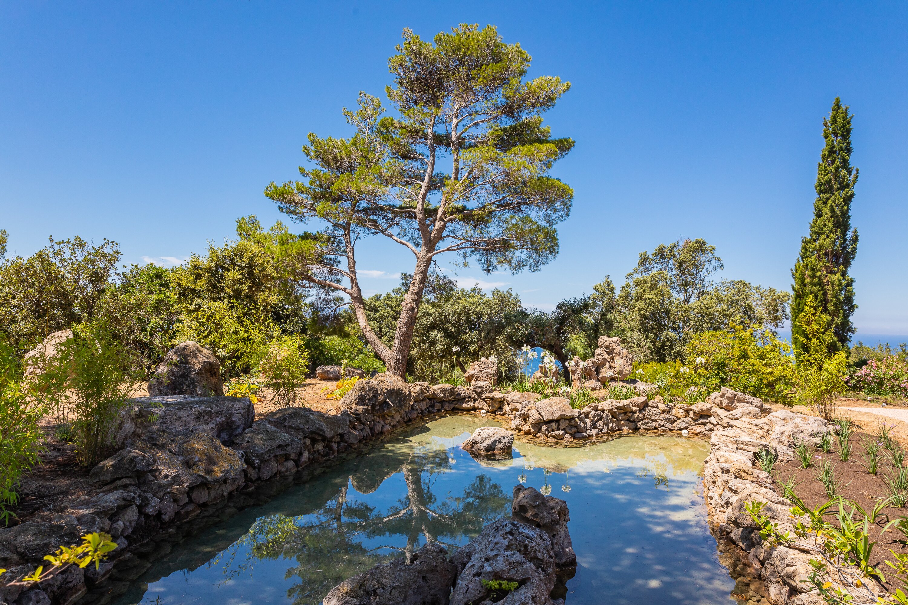 Vista Giglio - Image 4