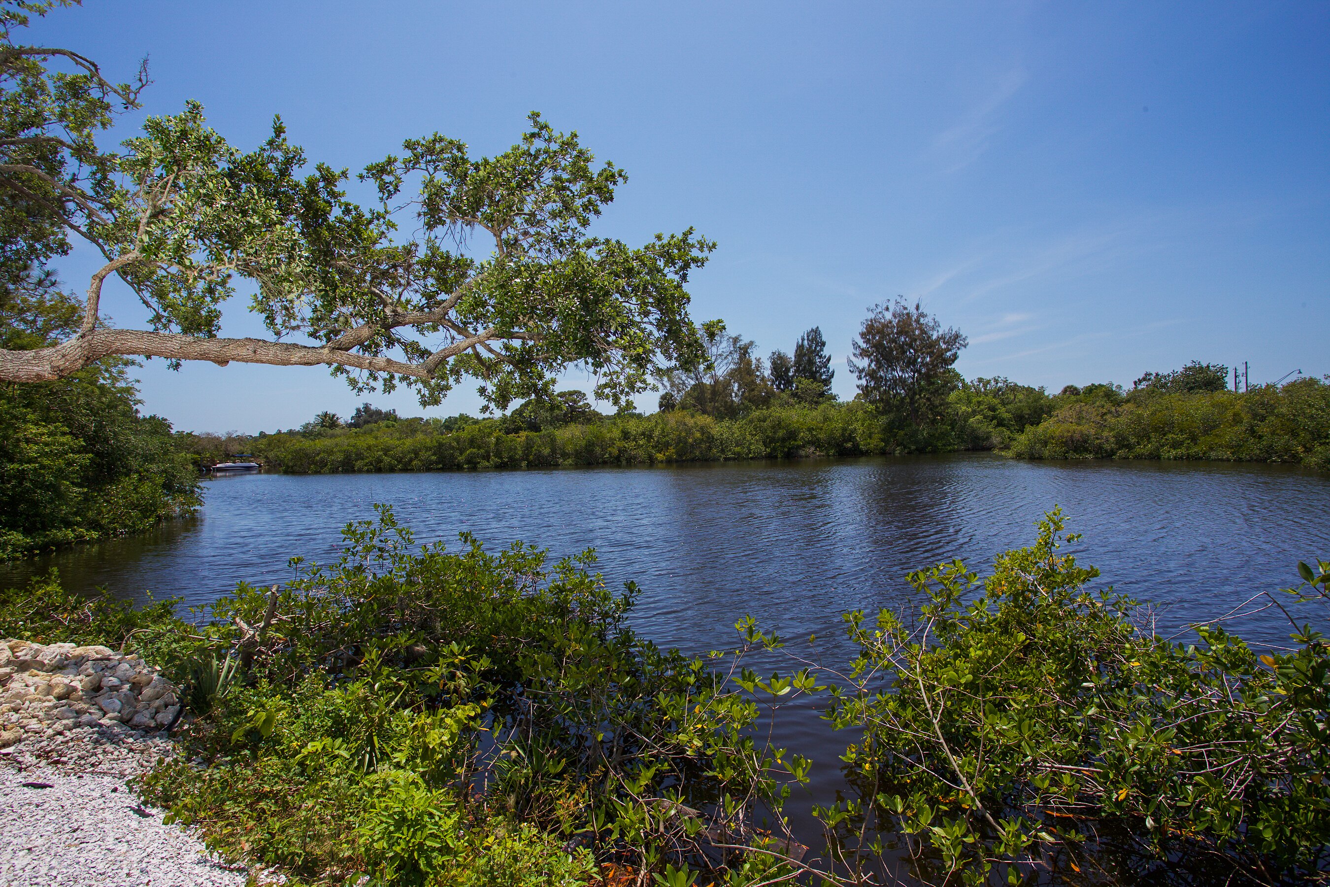 Honeyvine - Image 19