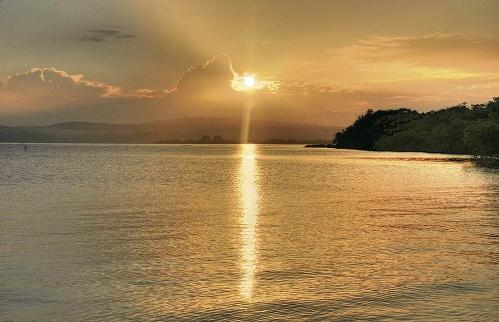 Tranquility on the Beach - Image 7