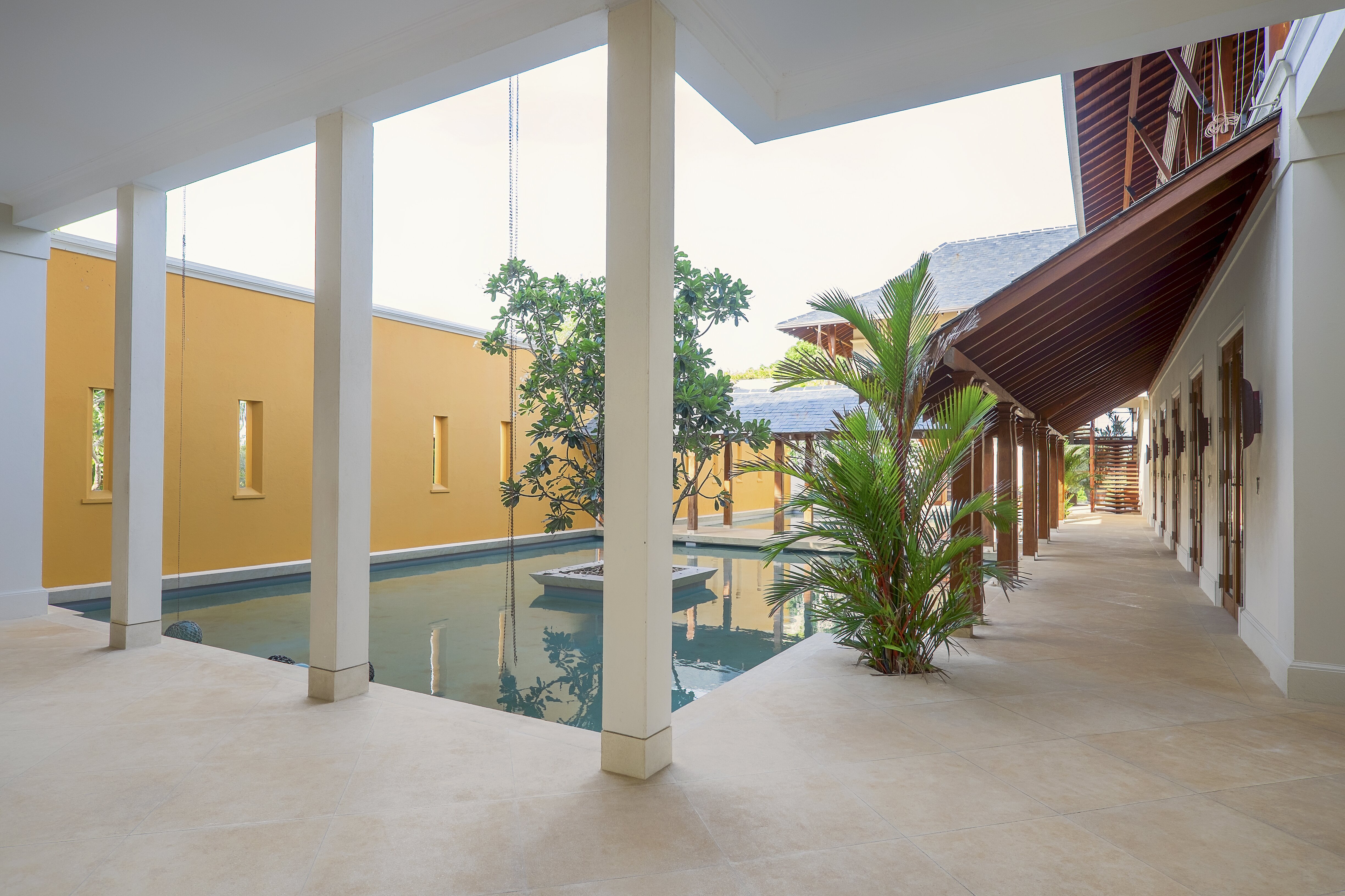 Lemongrass - Image 13