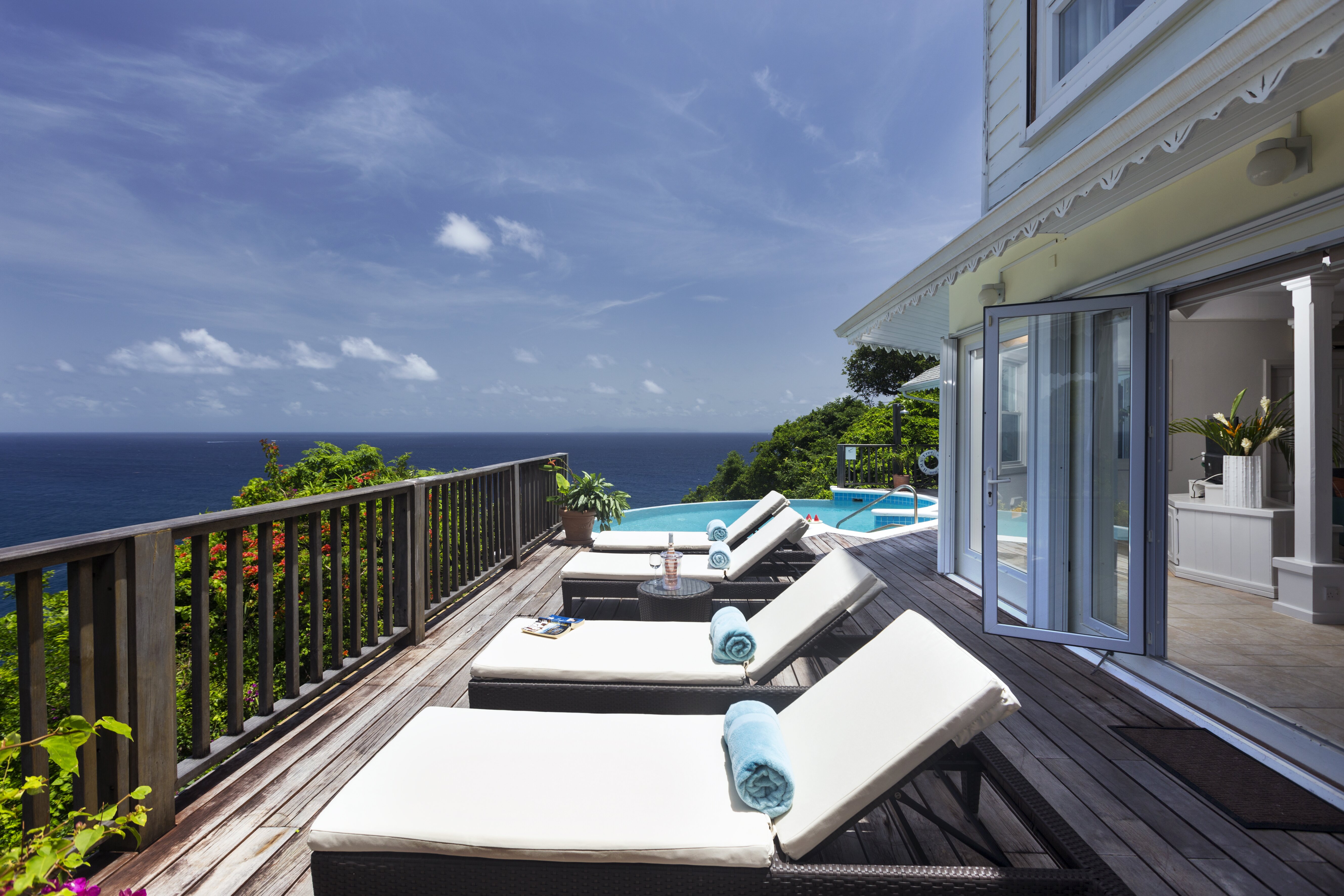 Lemon Tree - Image 16