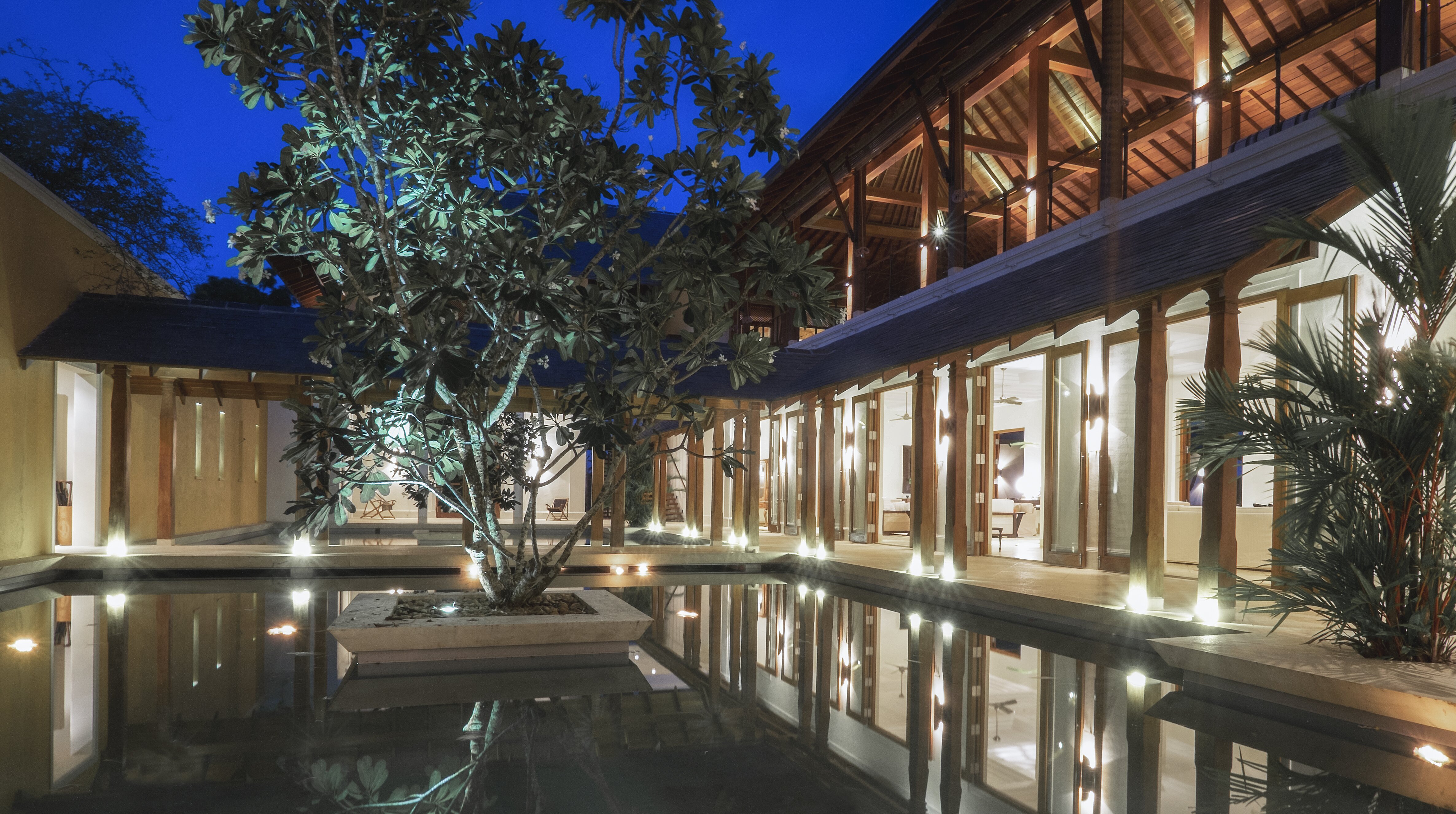 Lemongrass - Image 15