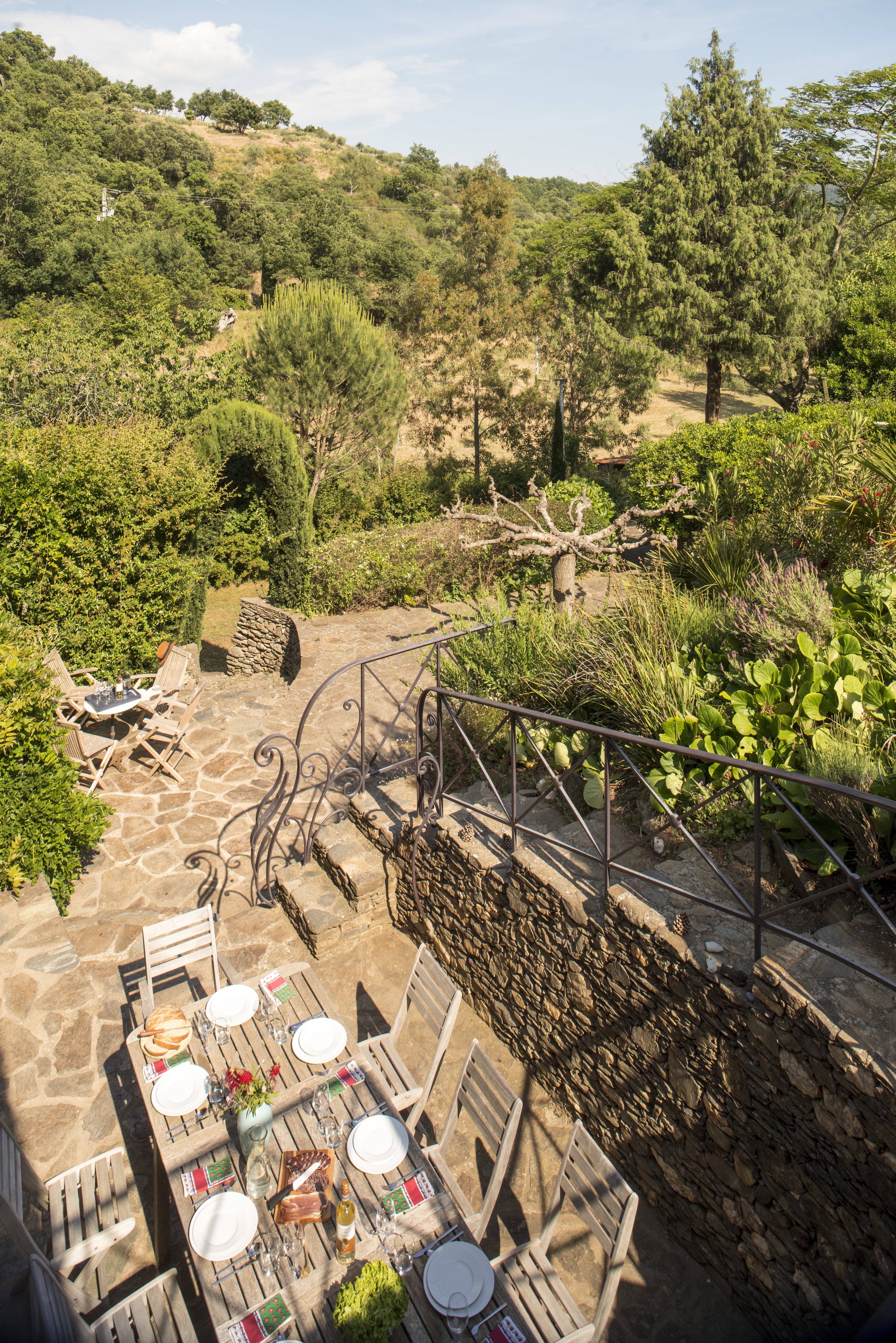 Bergeronnette - Image 6