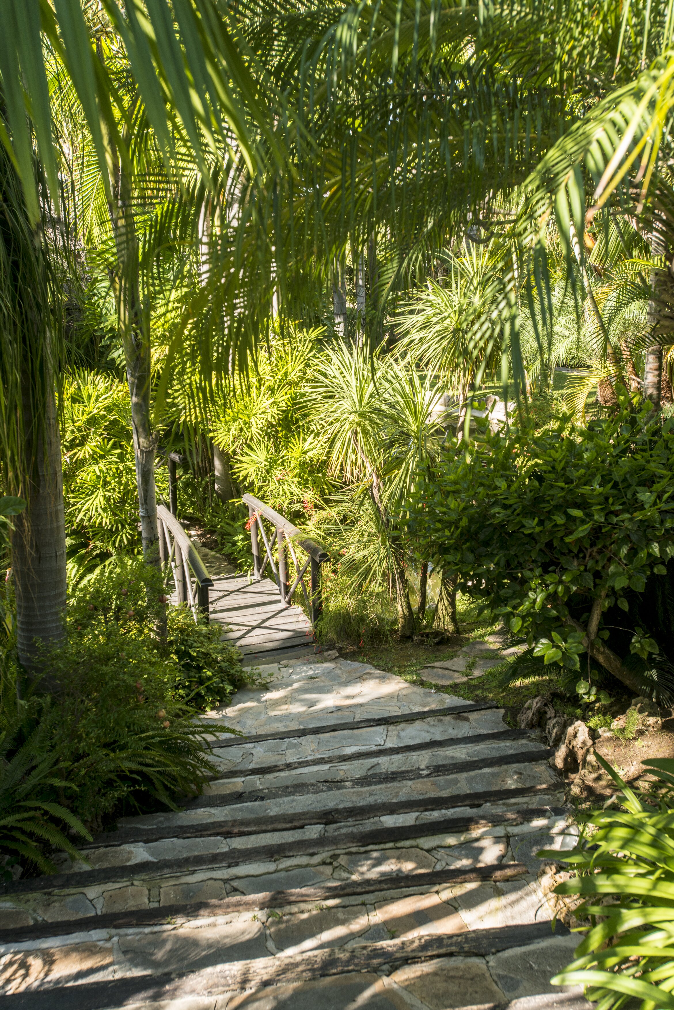 Rodeo Alto, Puerto Banús - Image 18