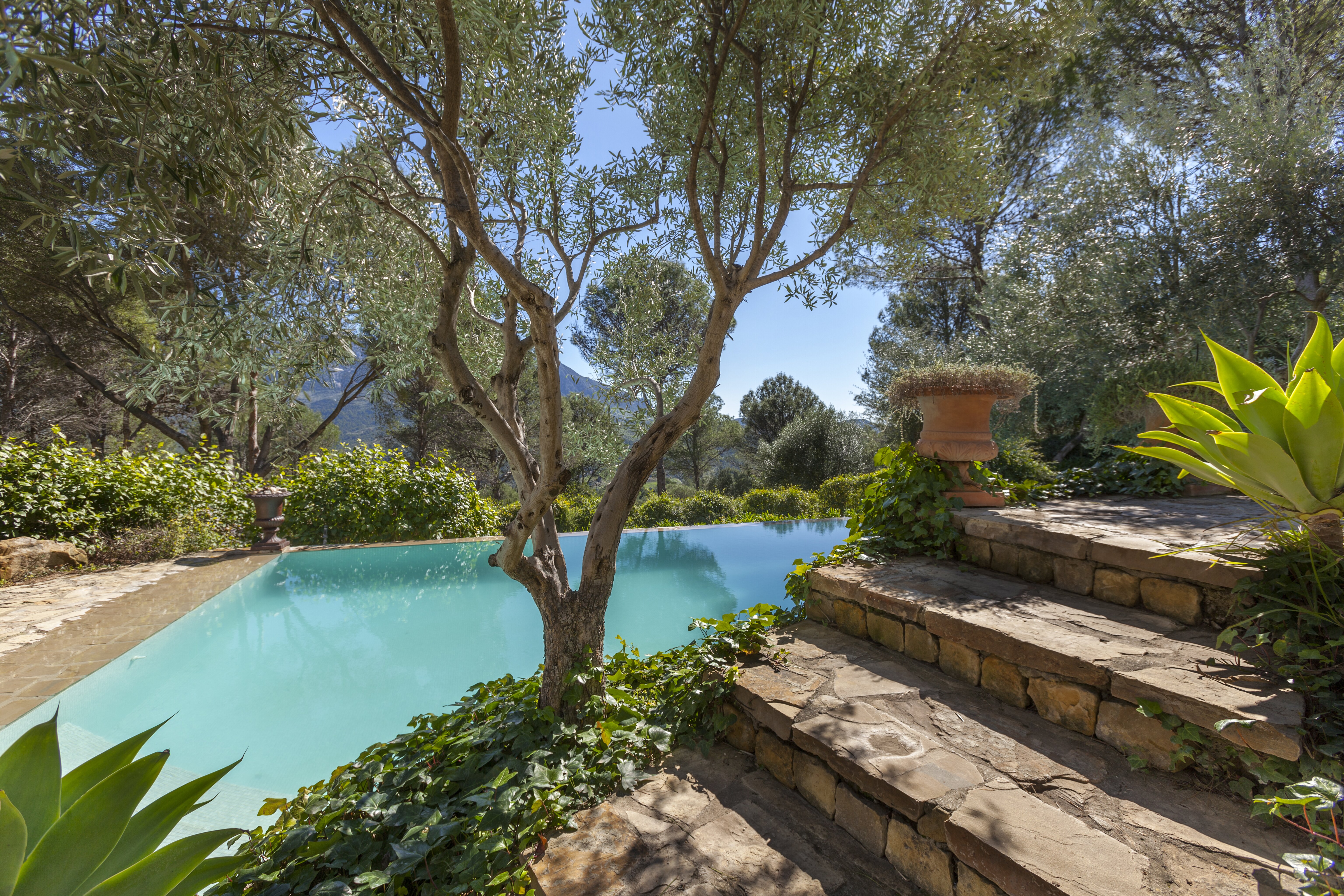 La Casa Roja - Image 17