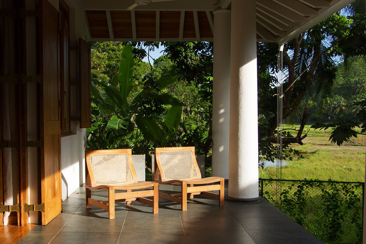 Water Lily - Image 14