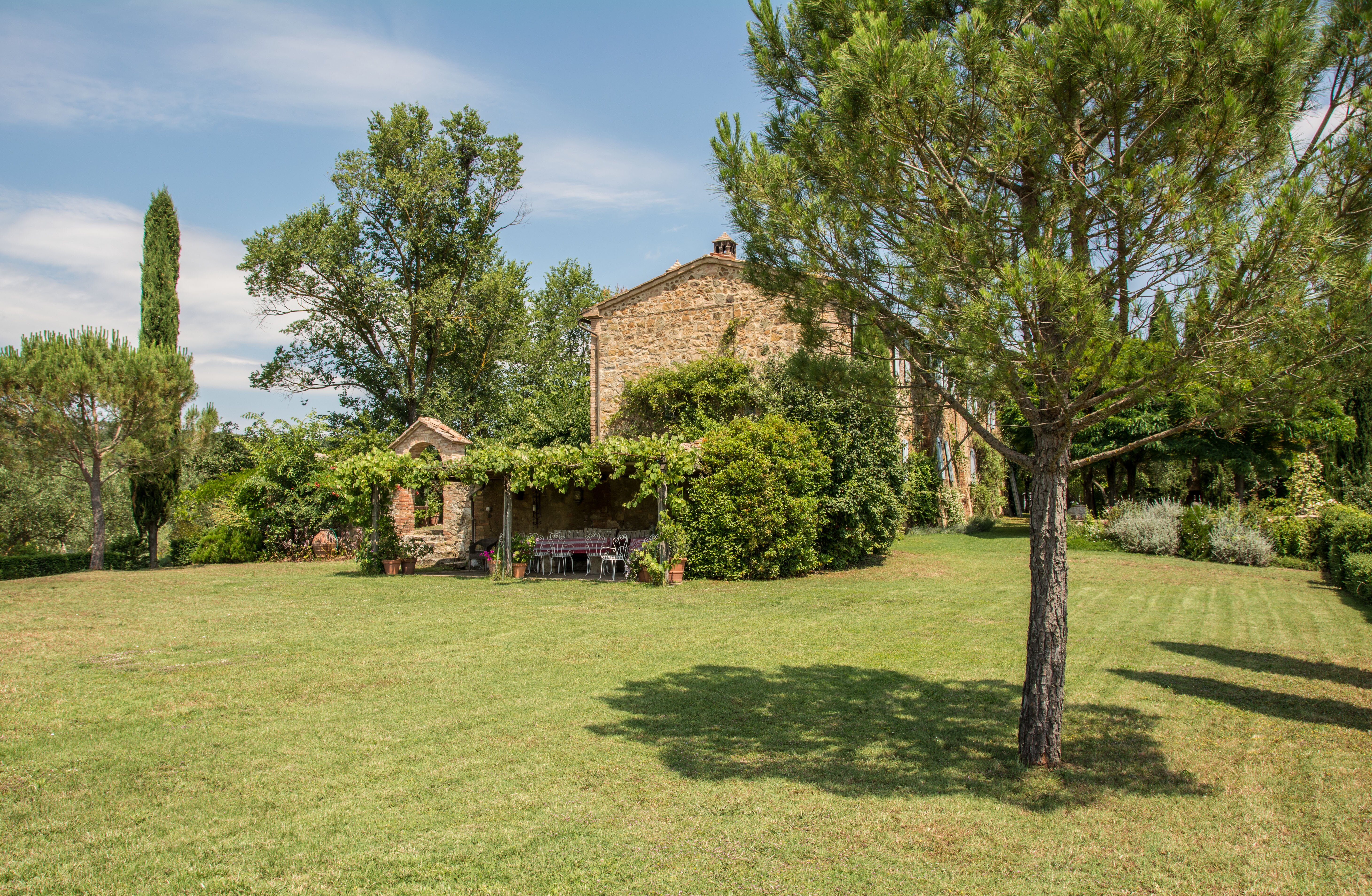 Il Panacea - Image 5