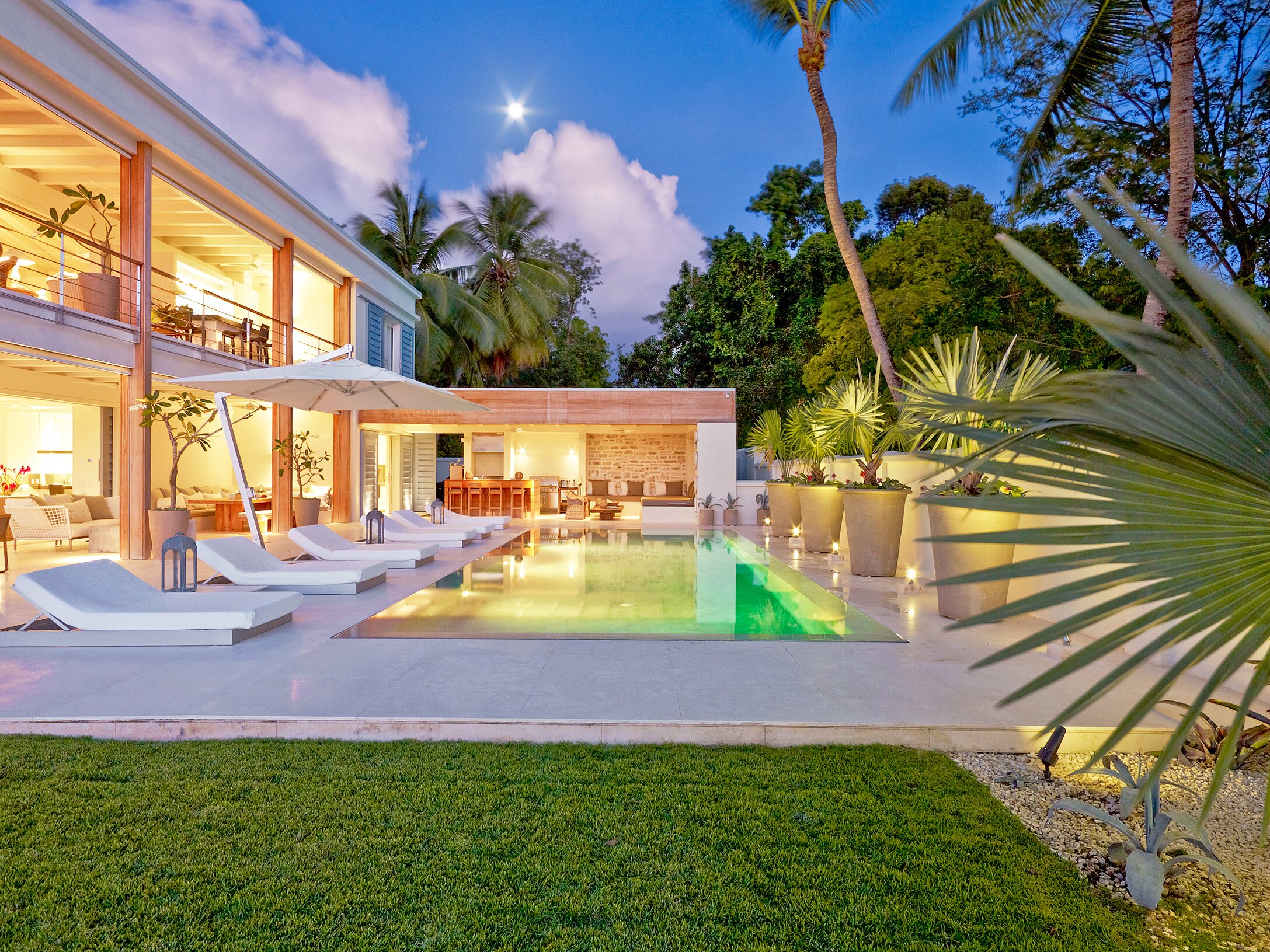 The Dream - Image 19