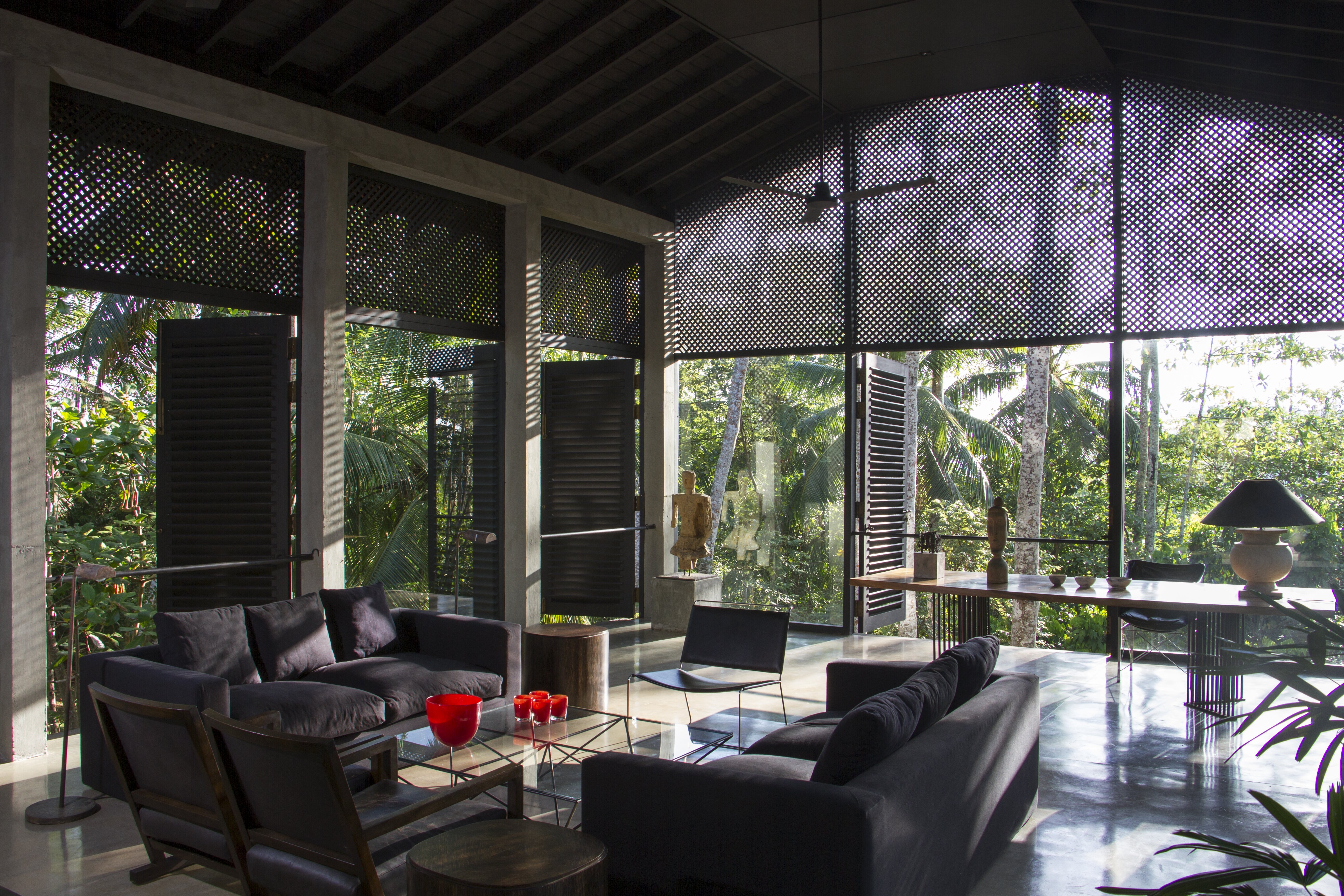 Allamanda - Image 19