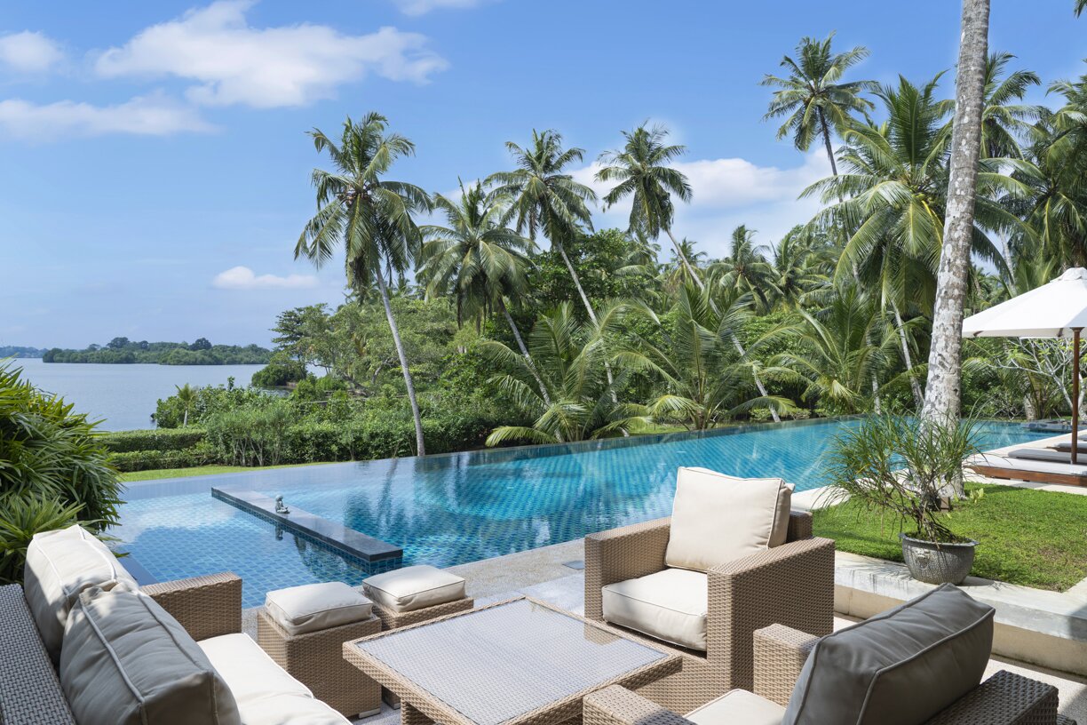Frangipani - Image 4