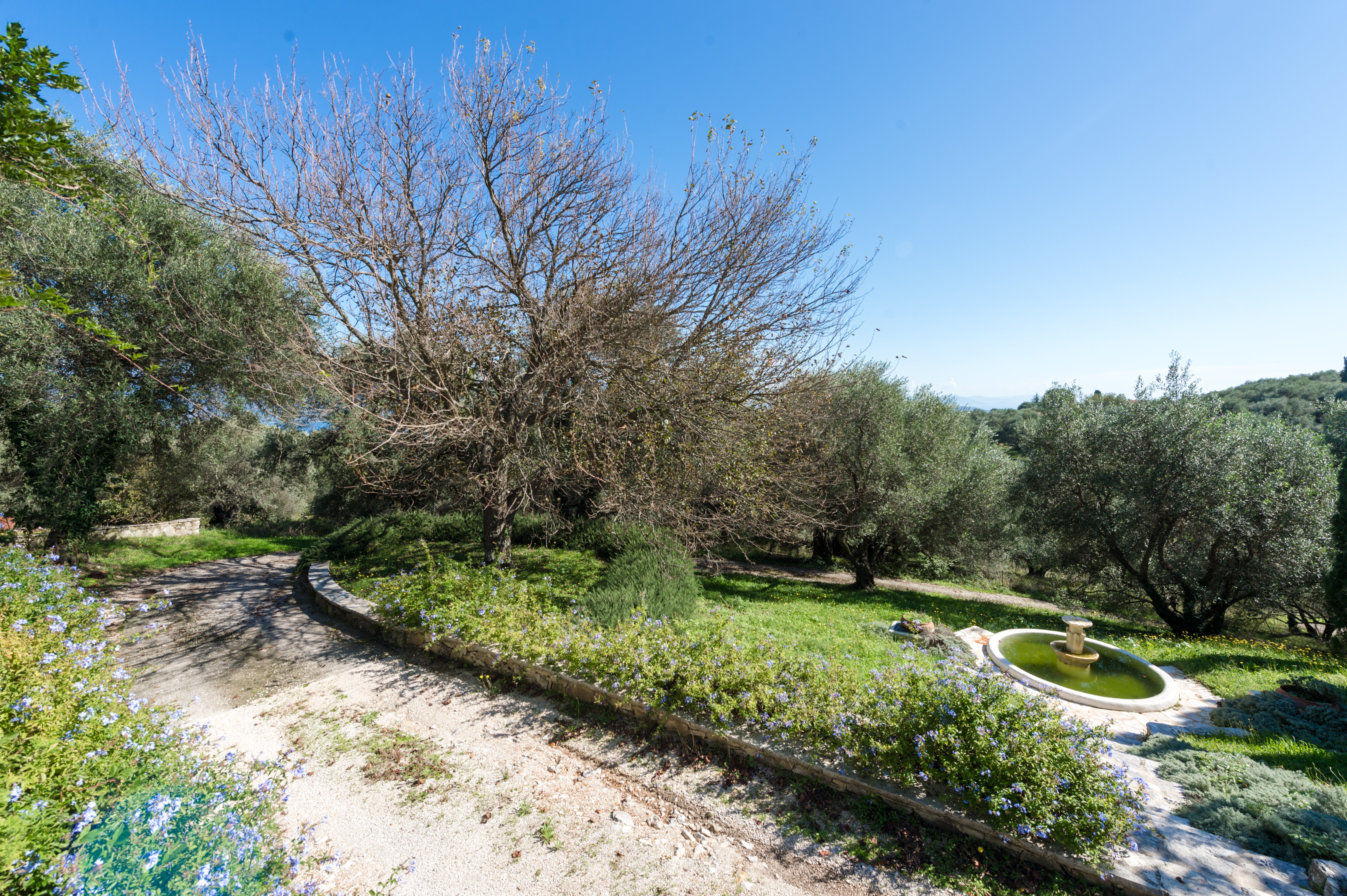 Kokkokila - Image 17