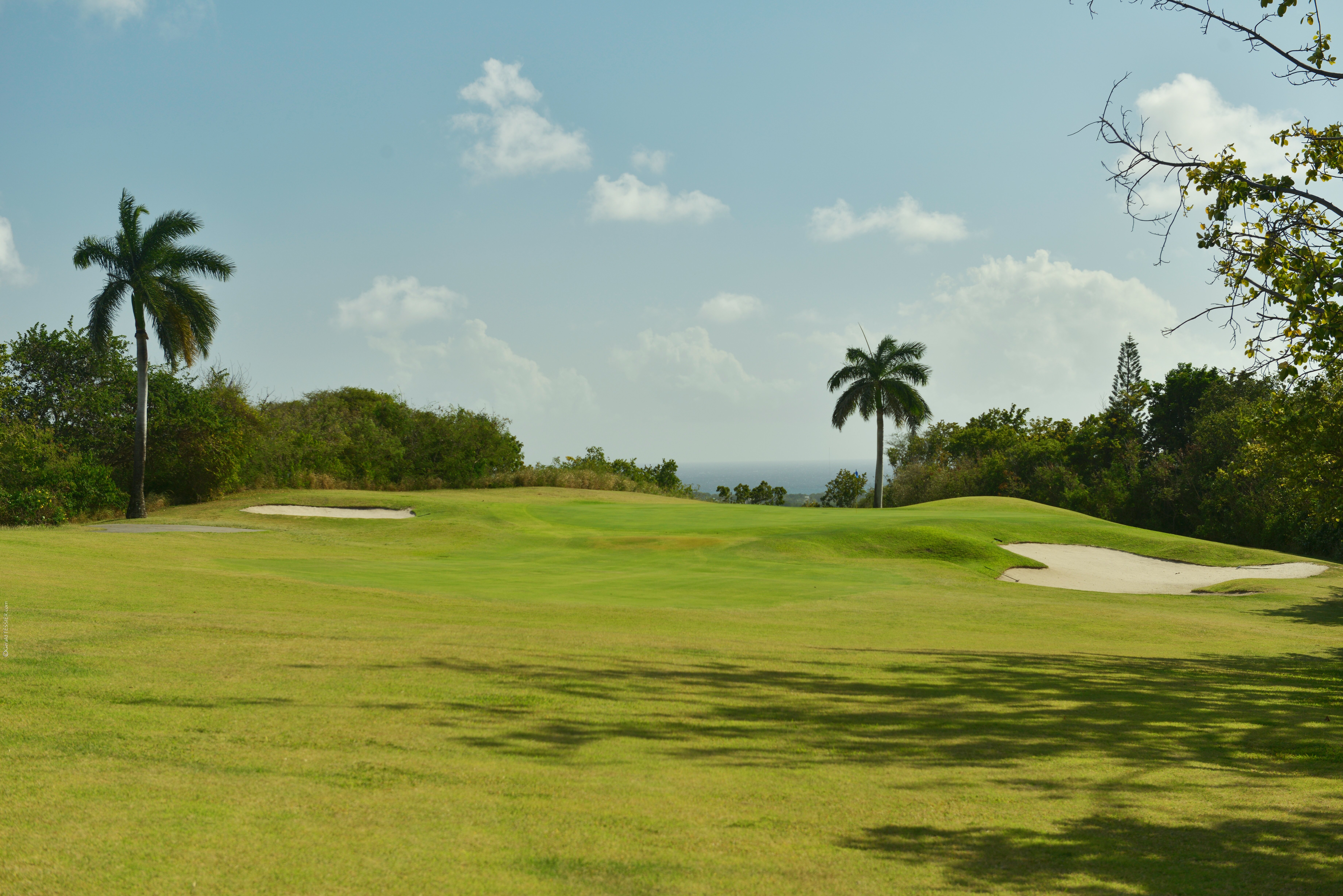 The Retreat - Image 18