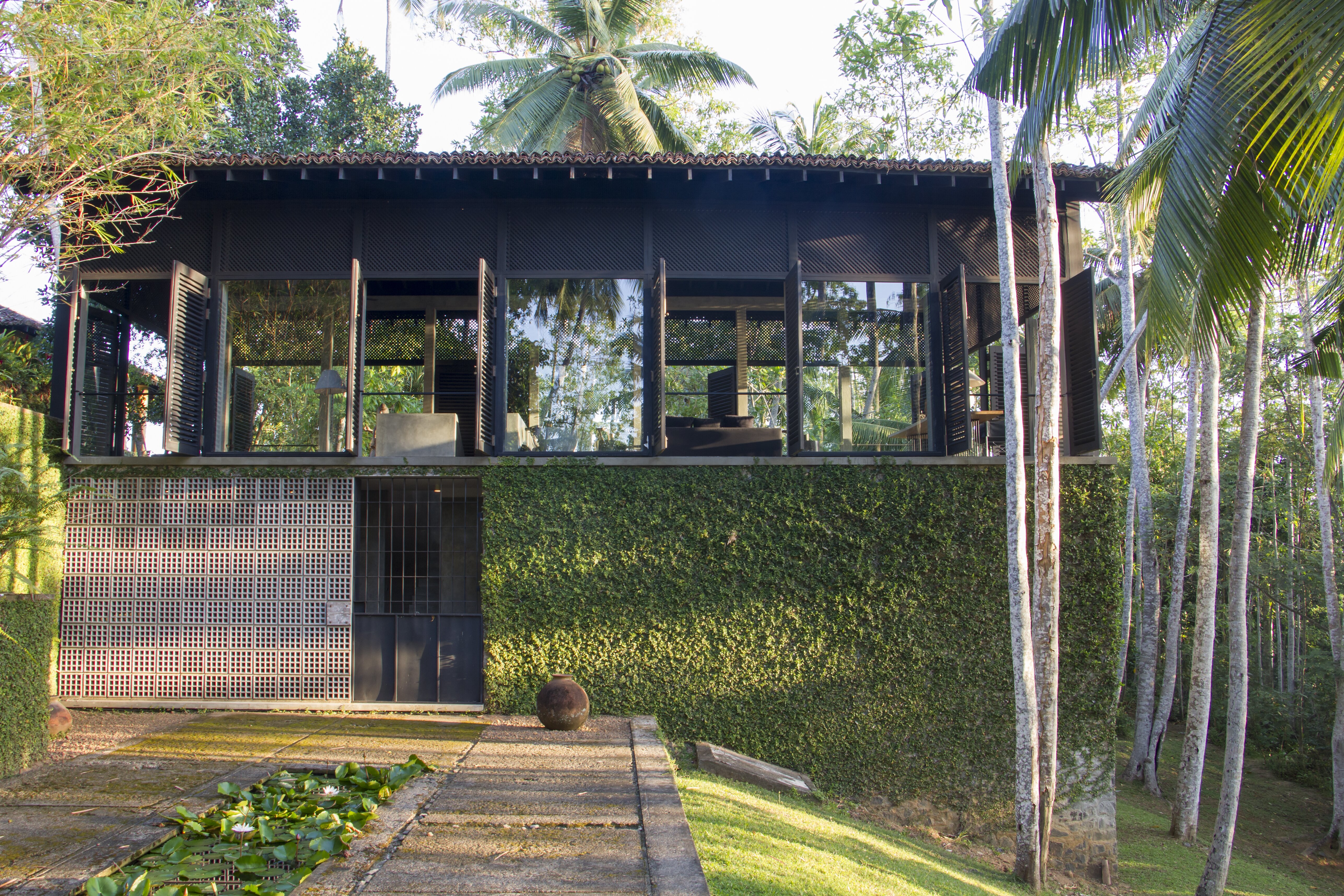 Allamanda - Image 15