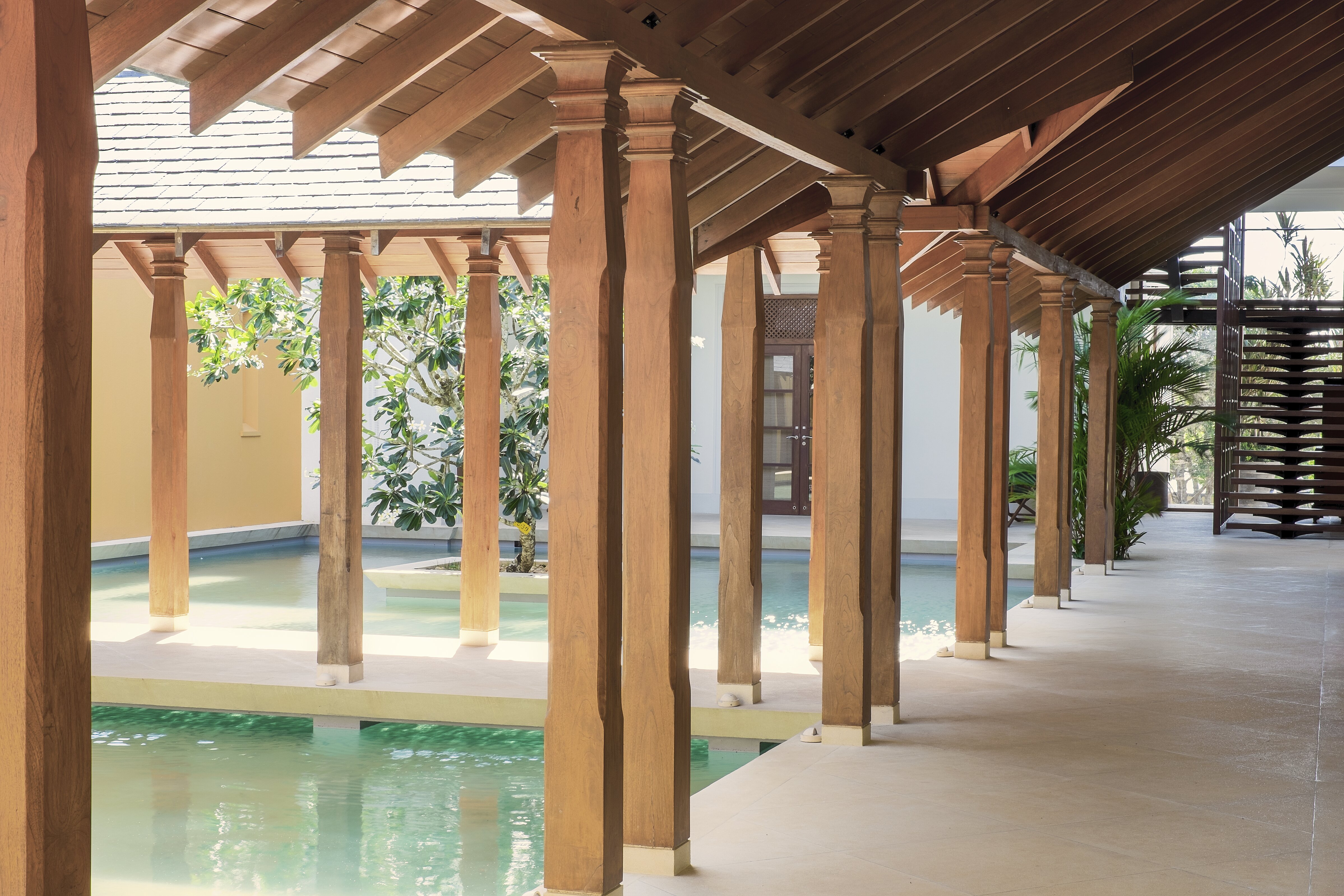 Lemongrass - Image 9