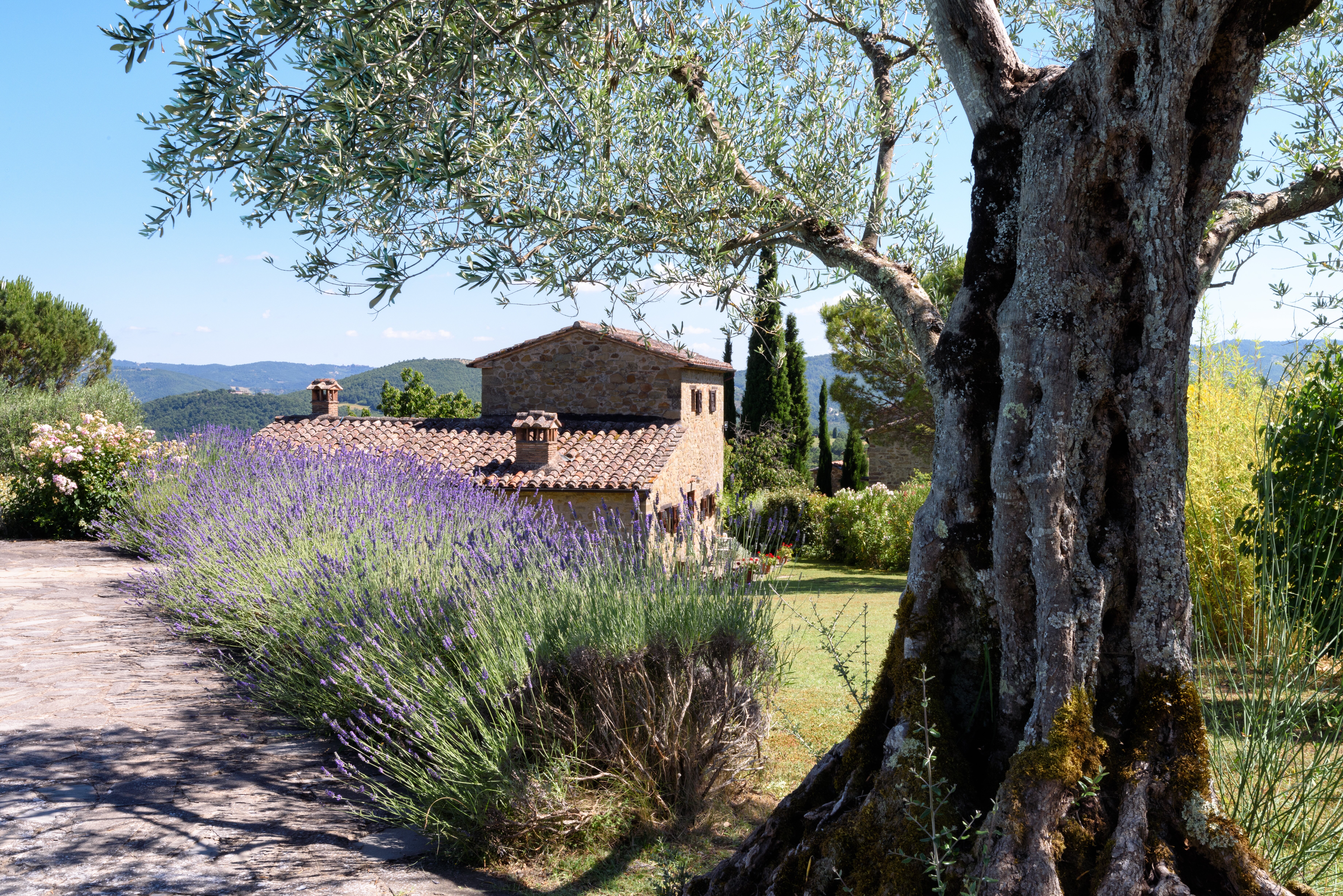 Casa del Cavaliere - Image 3