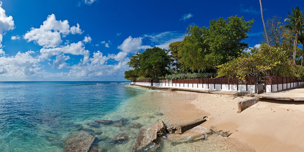 Blue Point - Image 5