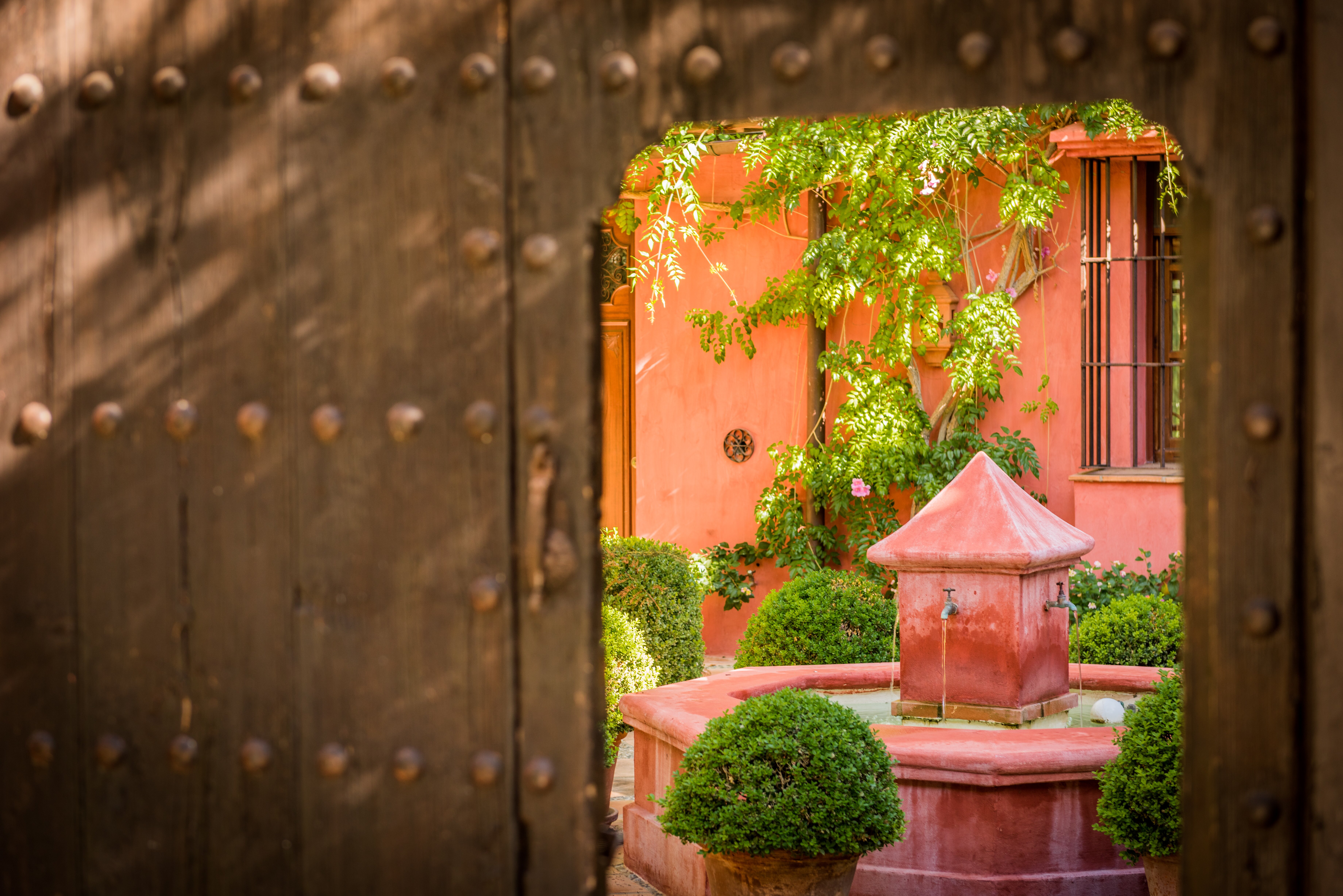 La Casa Roja - Image 15