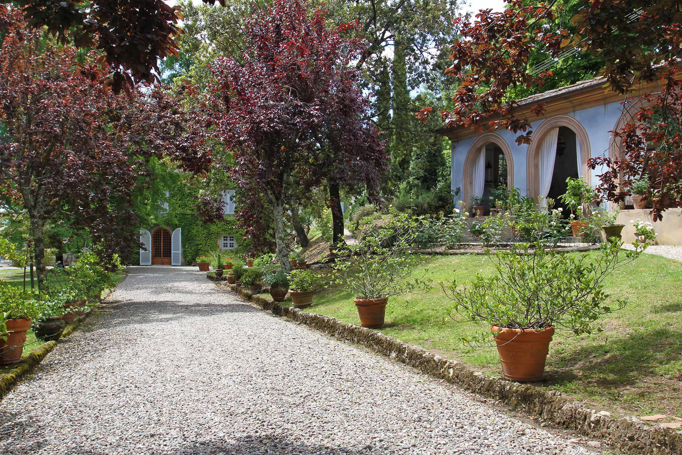 Villa Valgiano - Image 4