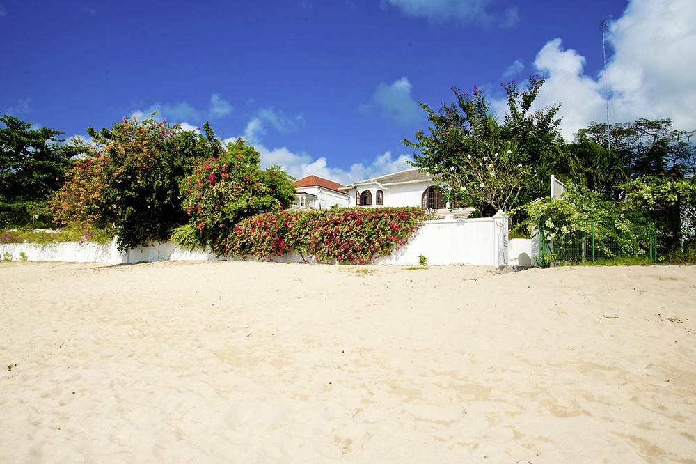 Oyster Bay - Image 8