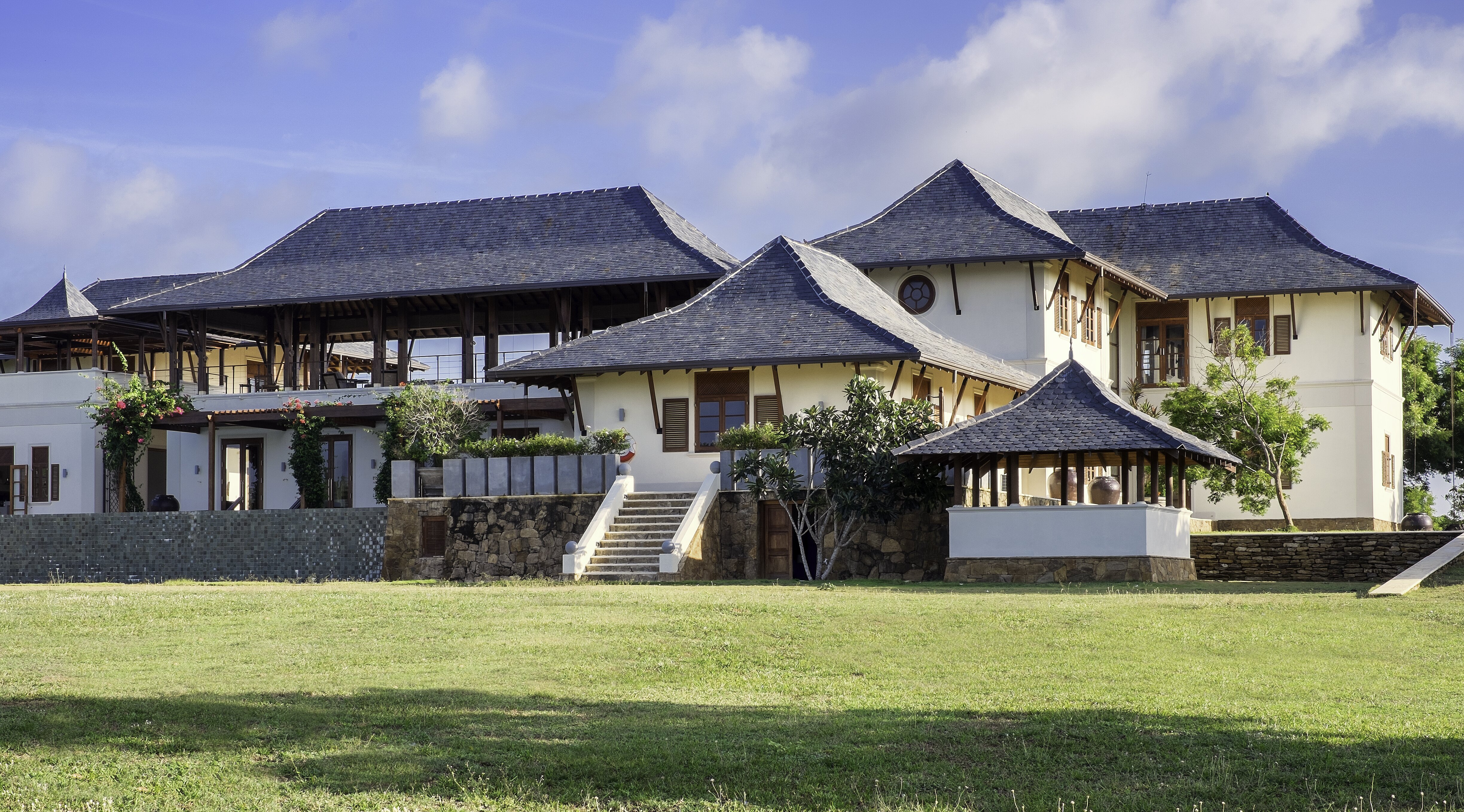 Lemongrass - Image 14