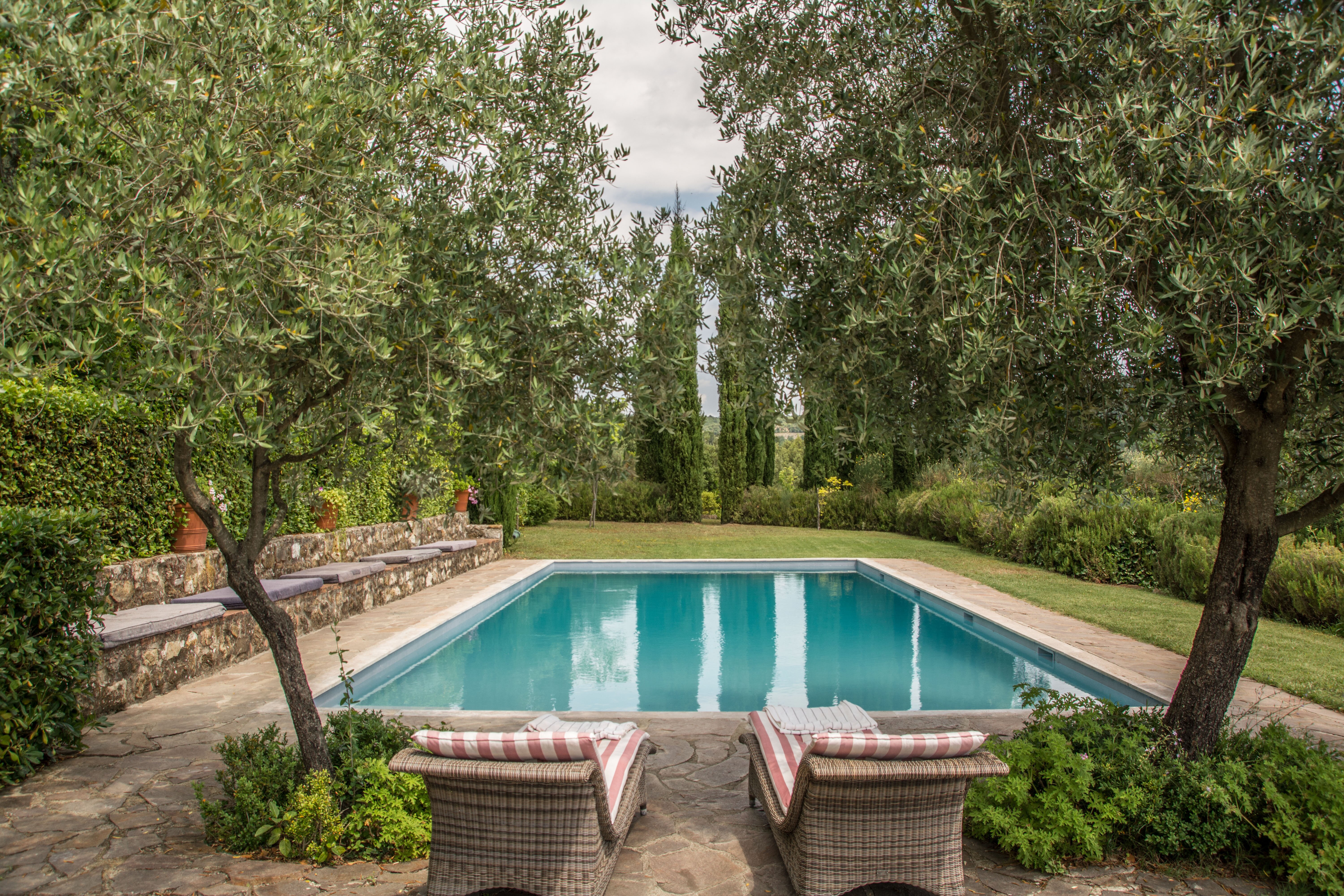 Il Panacea - Image 4