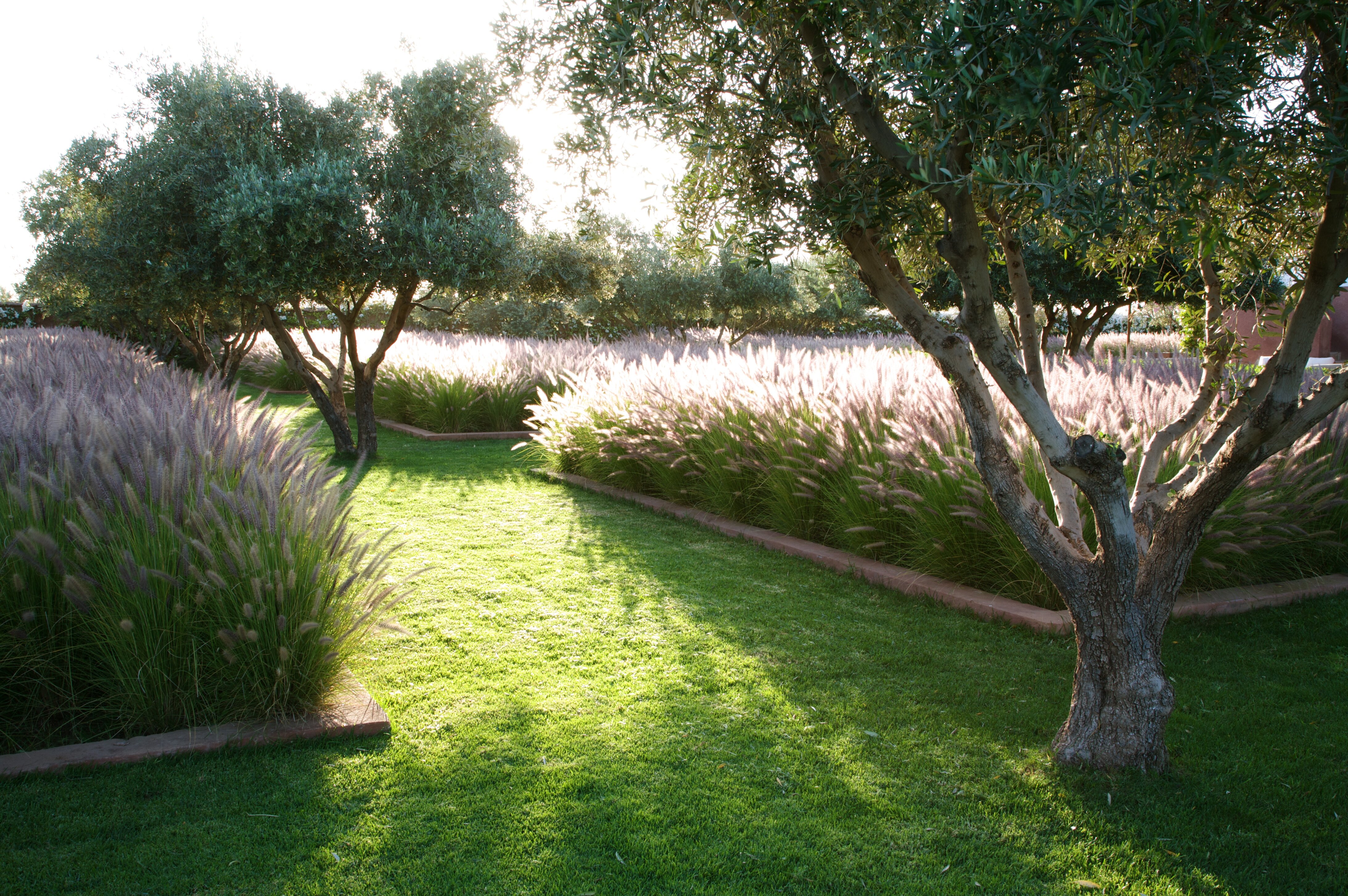 Dar Giardino, near Marrakech - Image 20